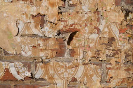  Coleman Architects: Wallpaper found in demolition 