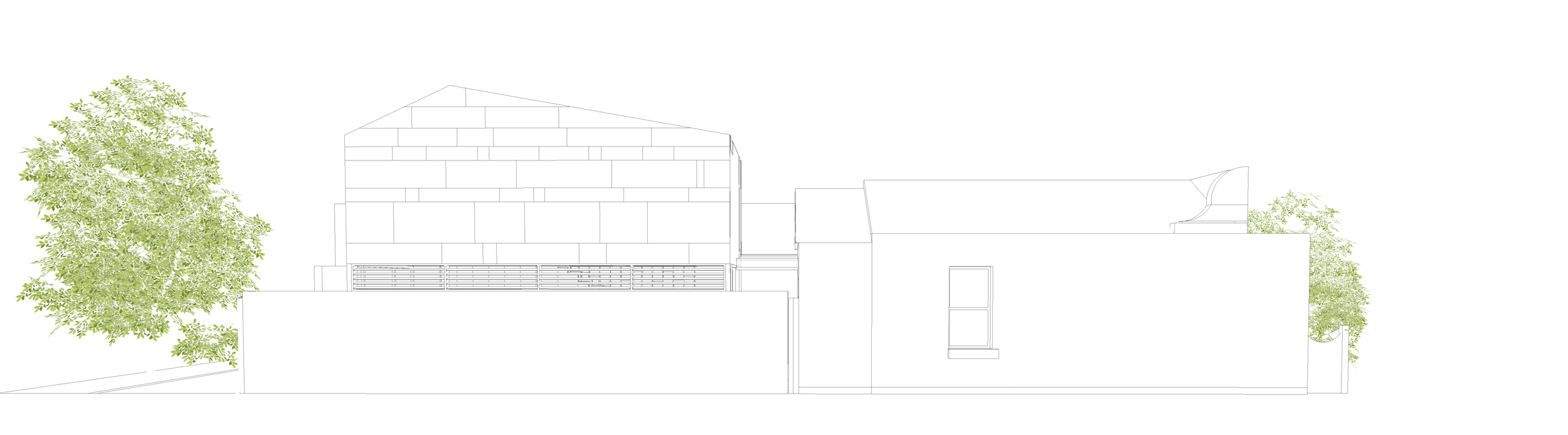 Wireframe Model t.png