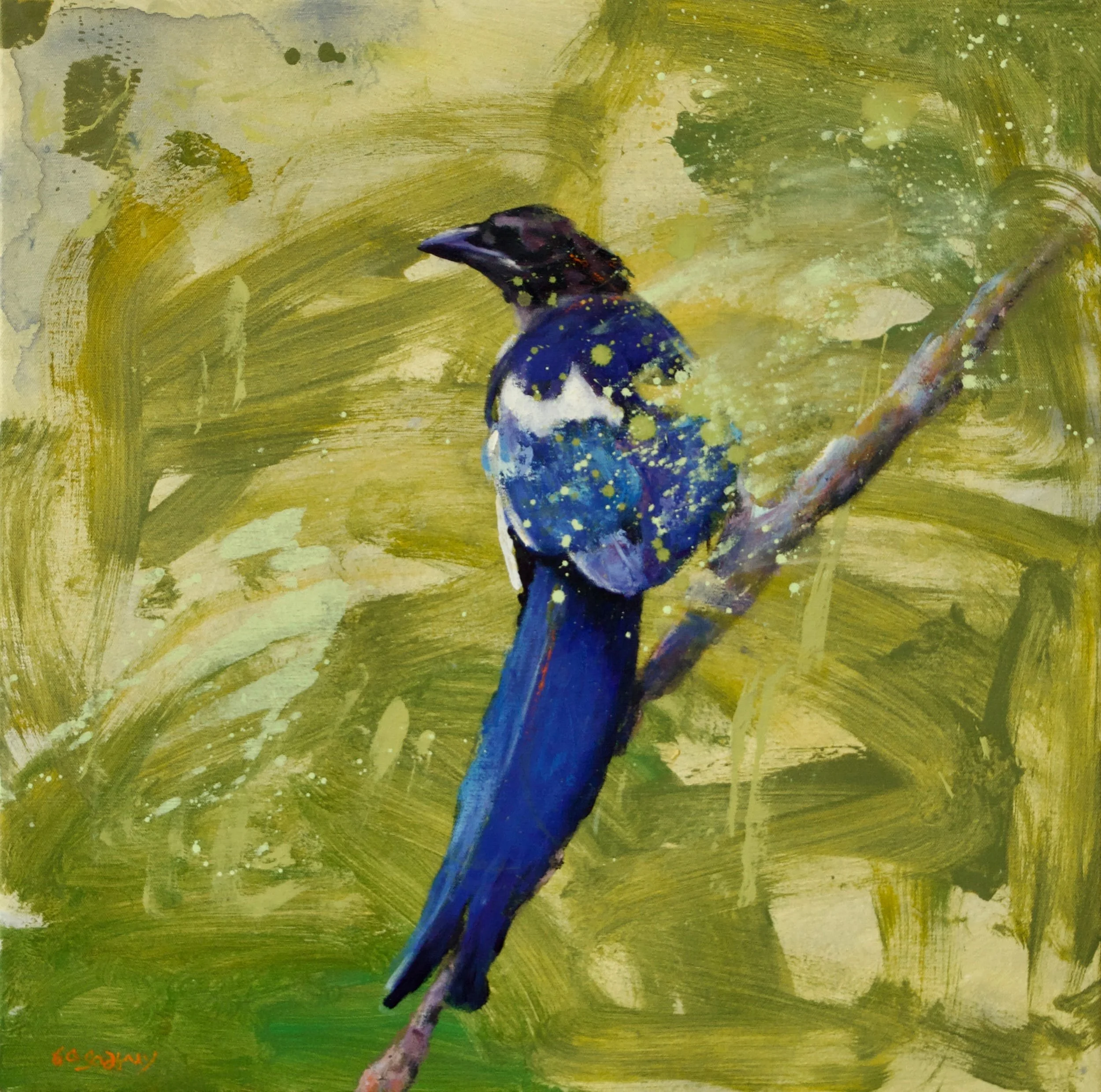 BRENT GODFREY, MAGPIE, 2024. OIL ON CANVAS, 24X24 IN. sold, private collection 
