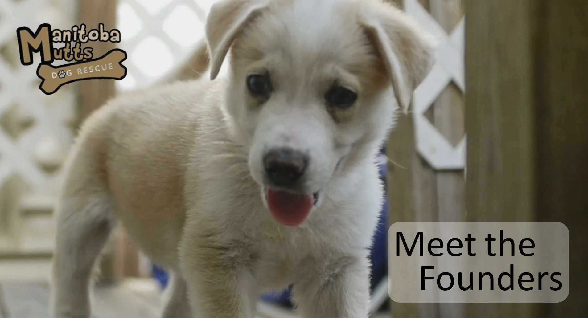 Meet the Founders Video Graphic.jpg
