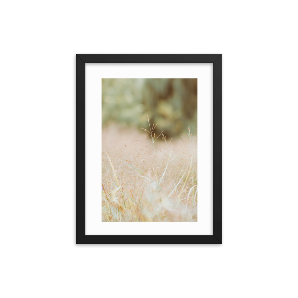 mockup-8a95dffd.png
