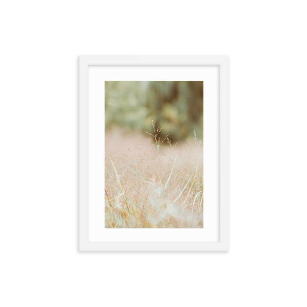 mockup-5fc72b57.png