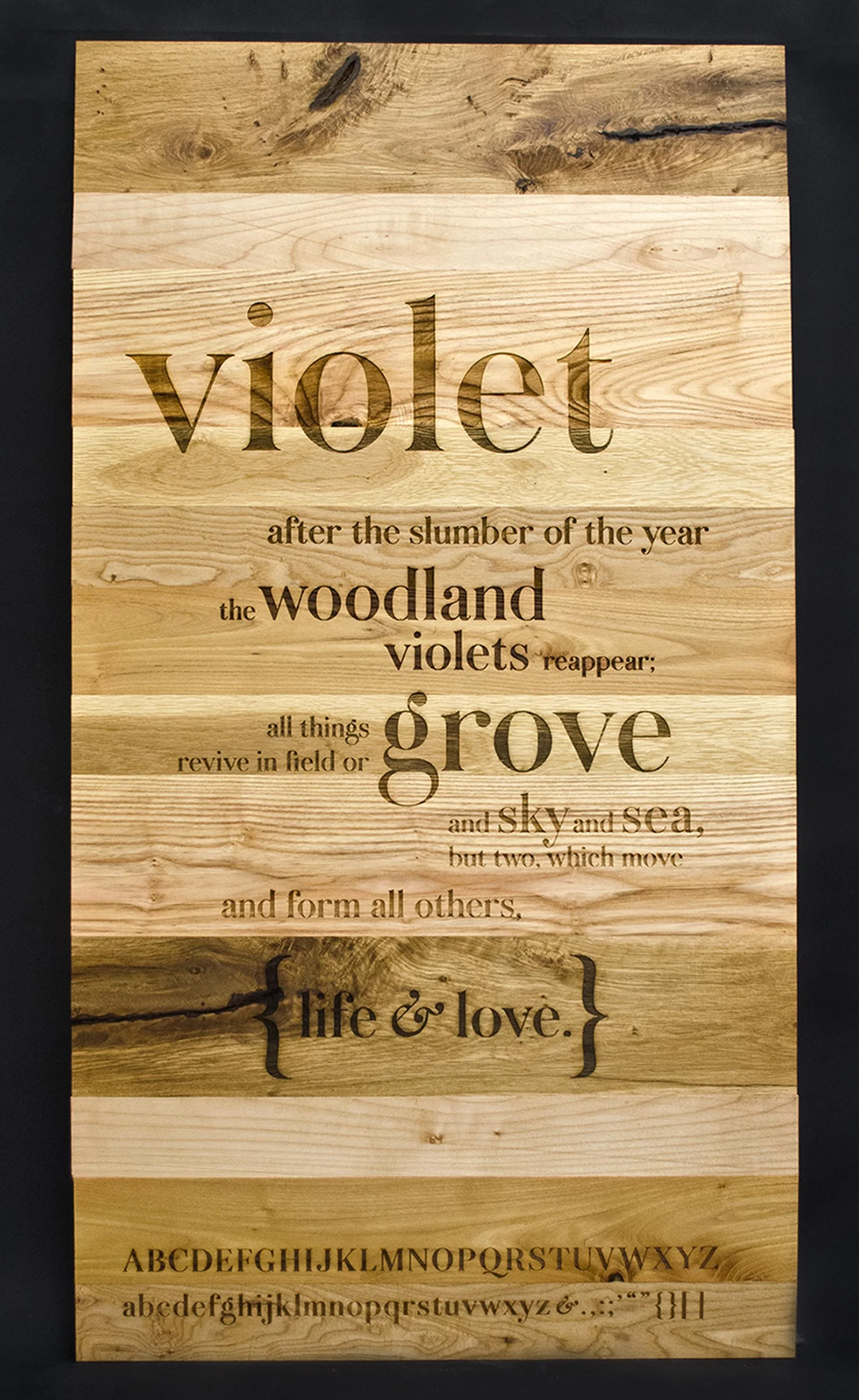 Violet_1.jpg
