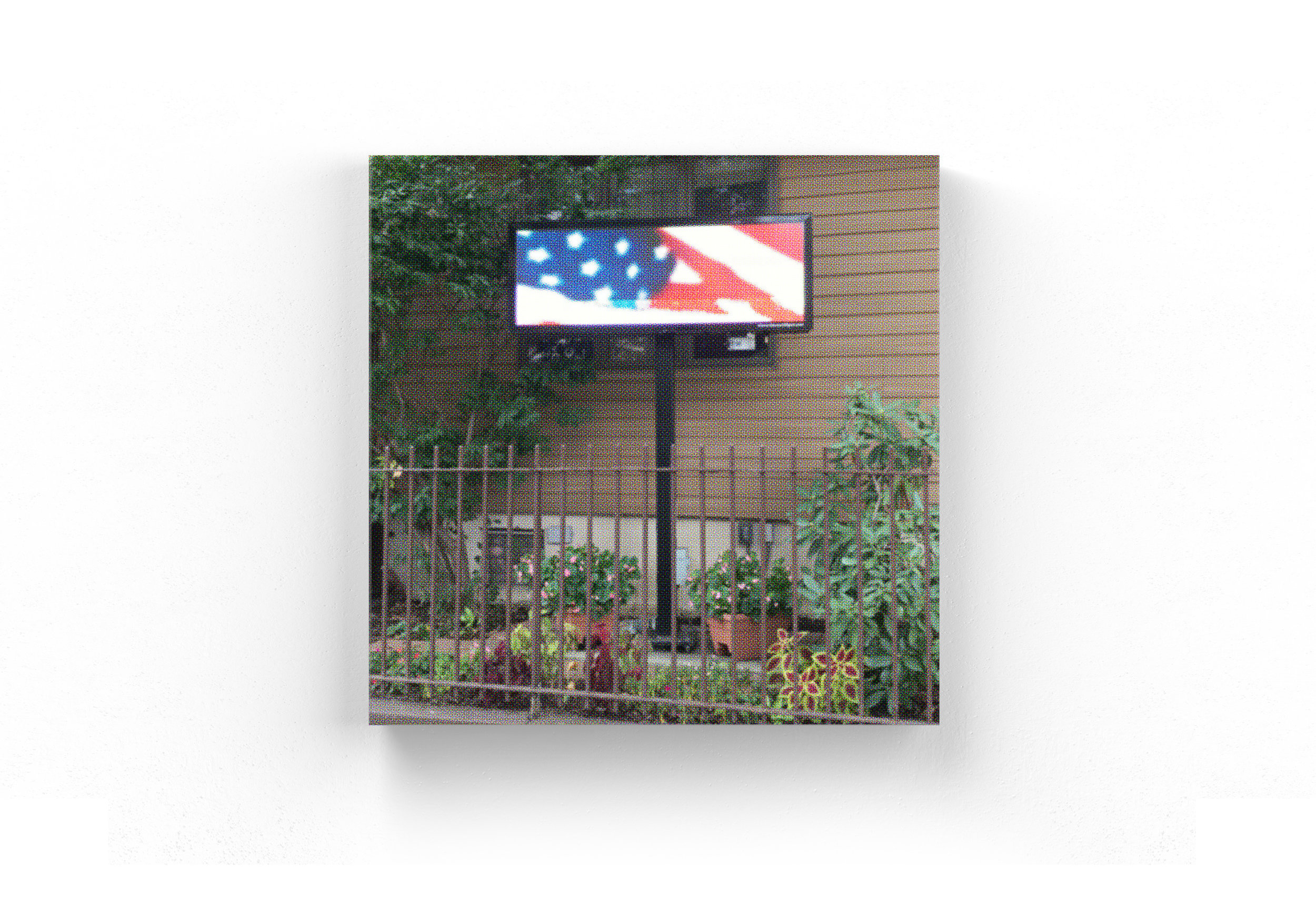 flagoutsidelorimerpix.jpg