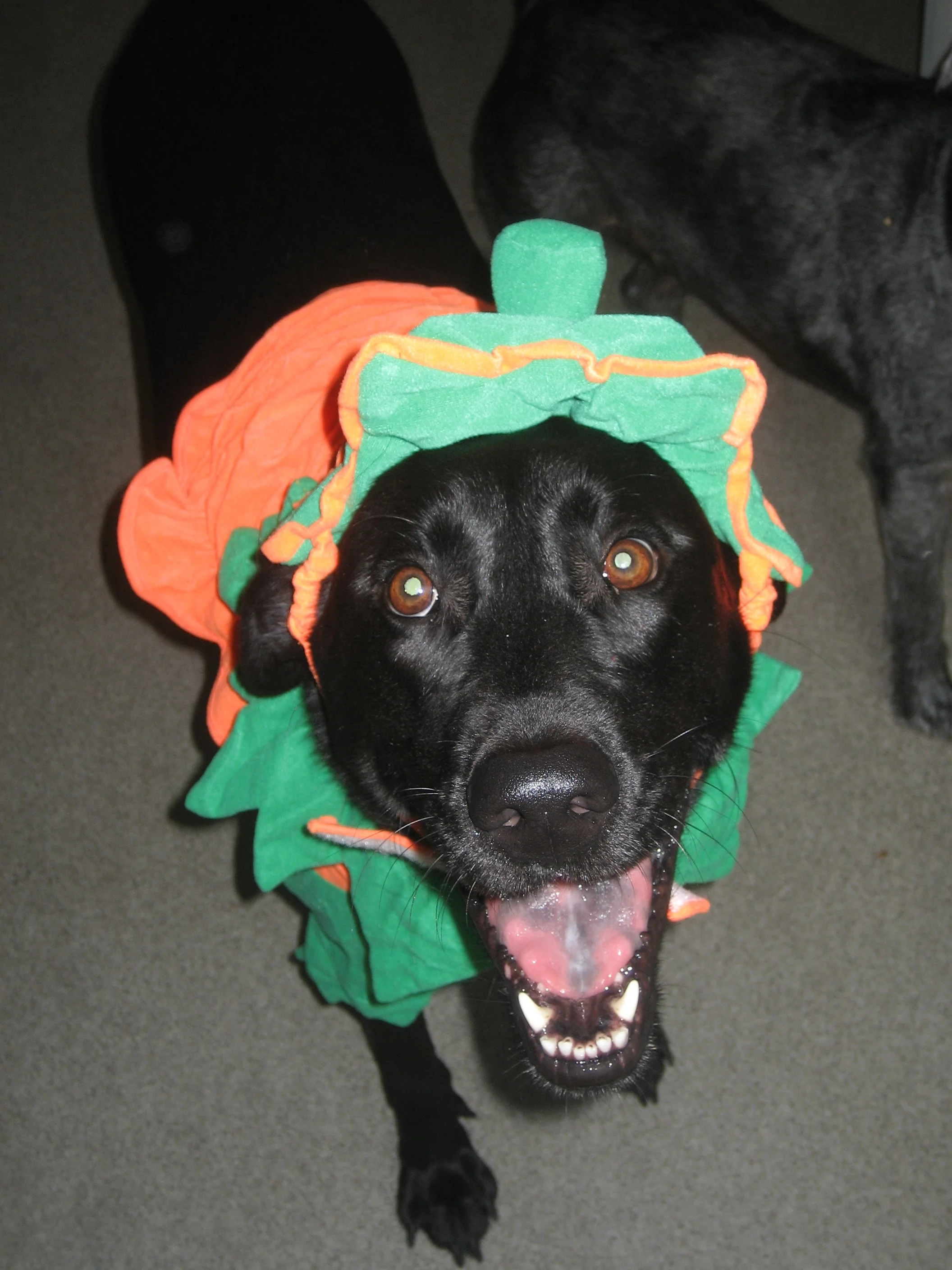 Picture 001.jpg