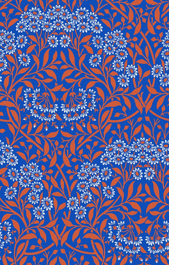 PWKW007.COBALT Michaelmas Daisy.jpg