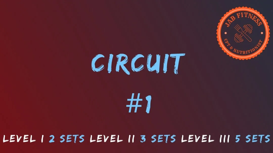 Circuit #1