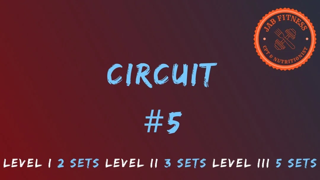 Circuit #5