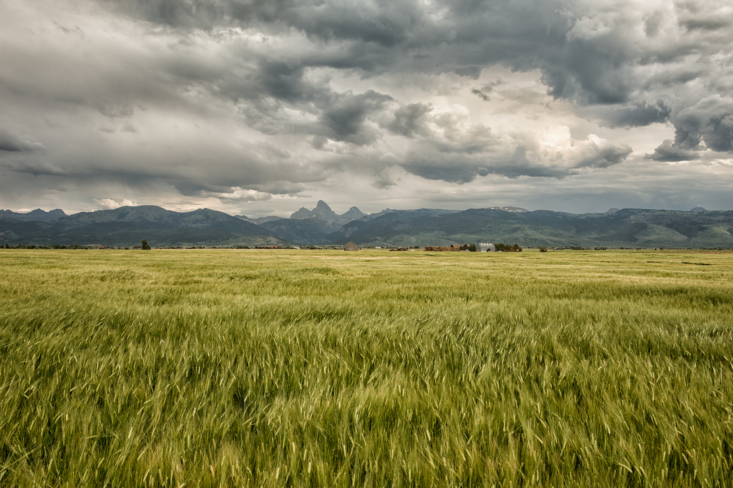 TP_IDAHO-0589-Edit.jpg