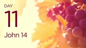 JOY Day 11—John 14