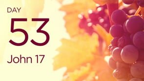 JOY Day 53—John 17