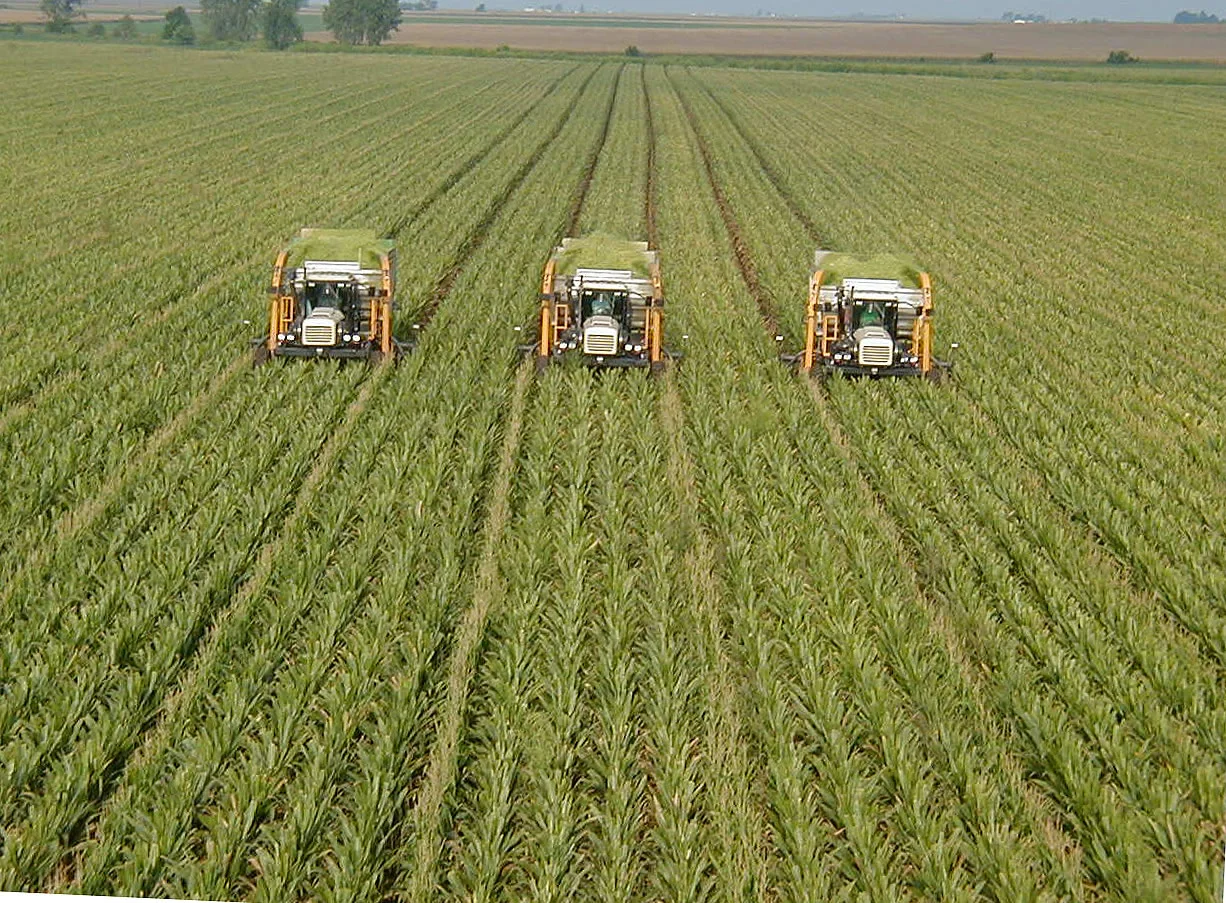 Monoculture corn: the cause of, and solution to, all of our food system's problems. Via O Ecotextiles.