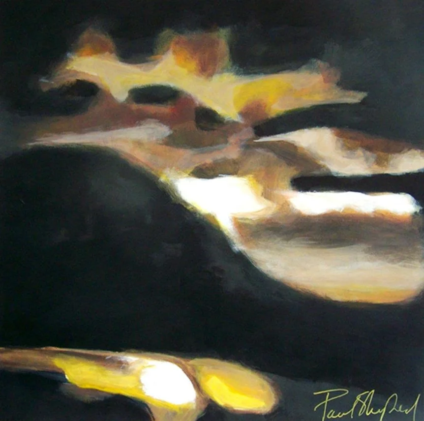 dark-sky-7.jpg
