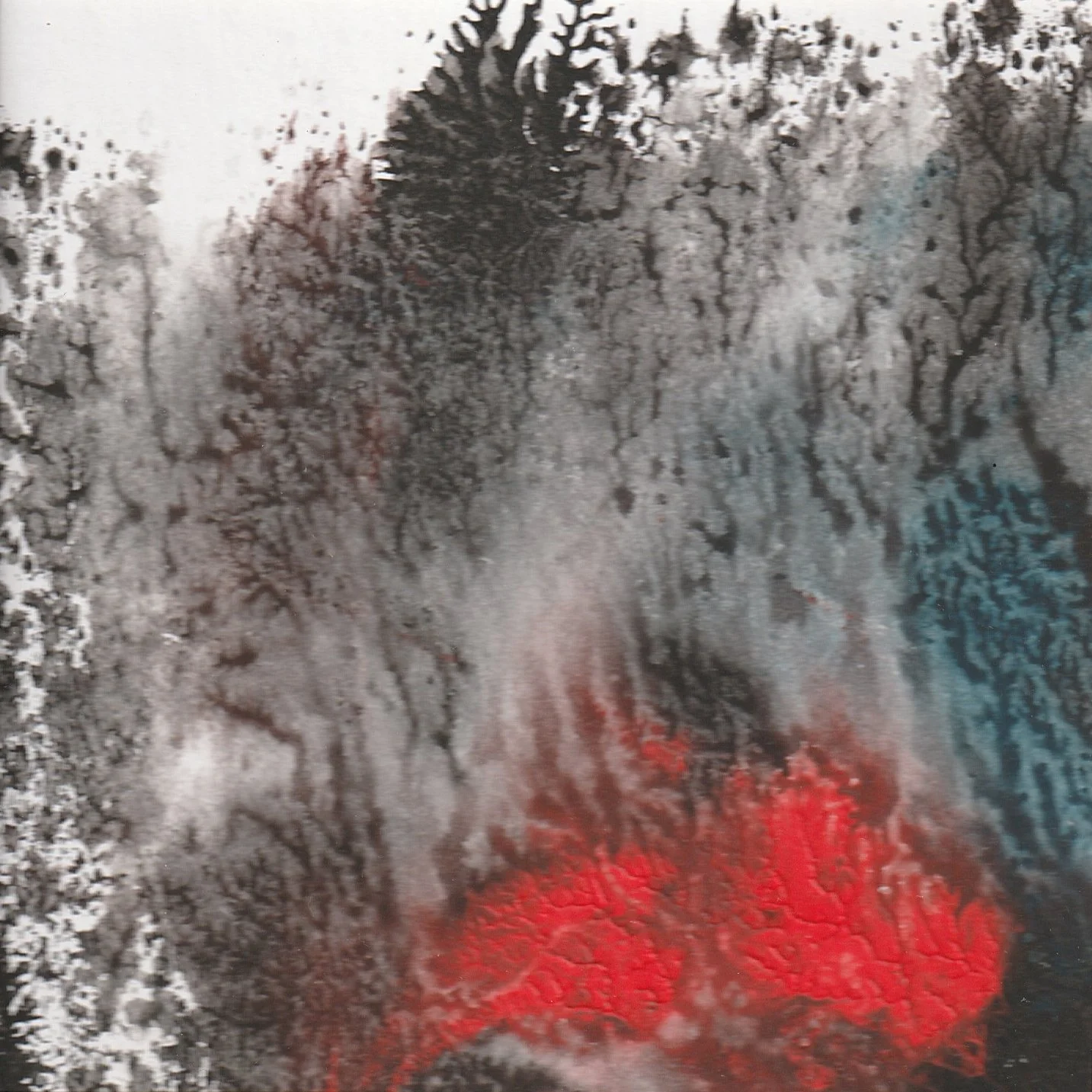 SCN1636067097399.jpg