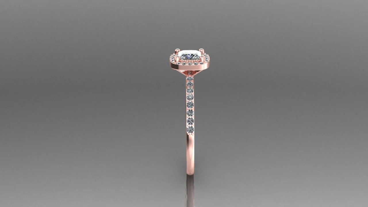 .50 ct simple halo Priness cut r.jpg