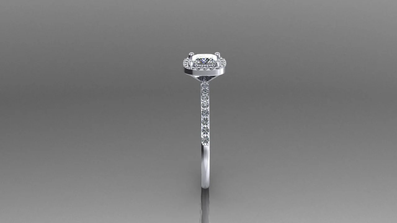 .50 ct simple halo Priness cut4.jpg