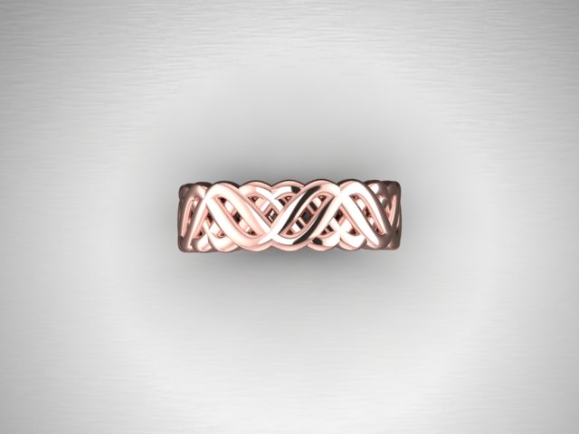 Braided band1.jpg