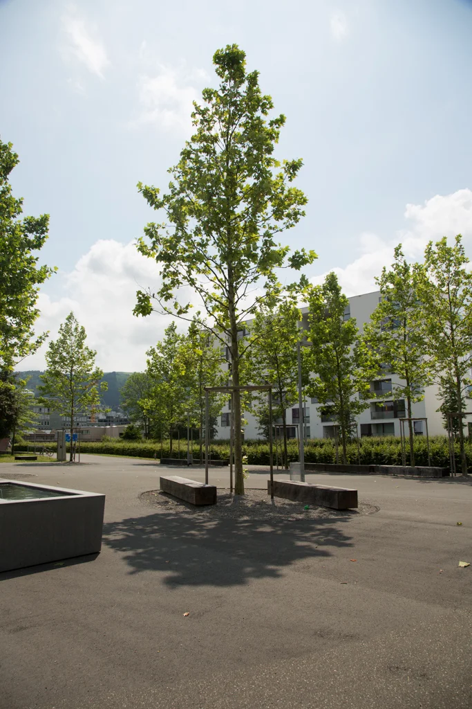 20130705_Multi_Exposures_0058.jpg