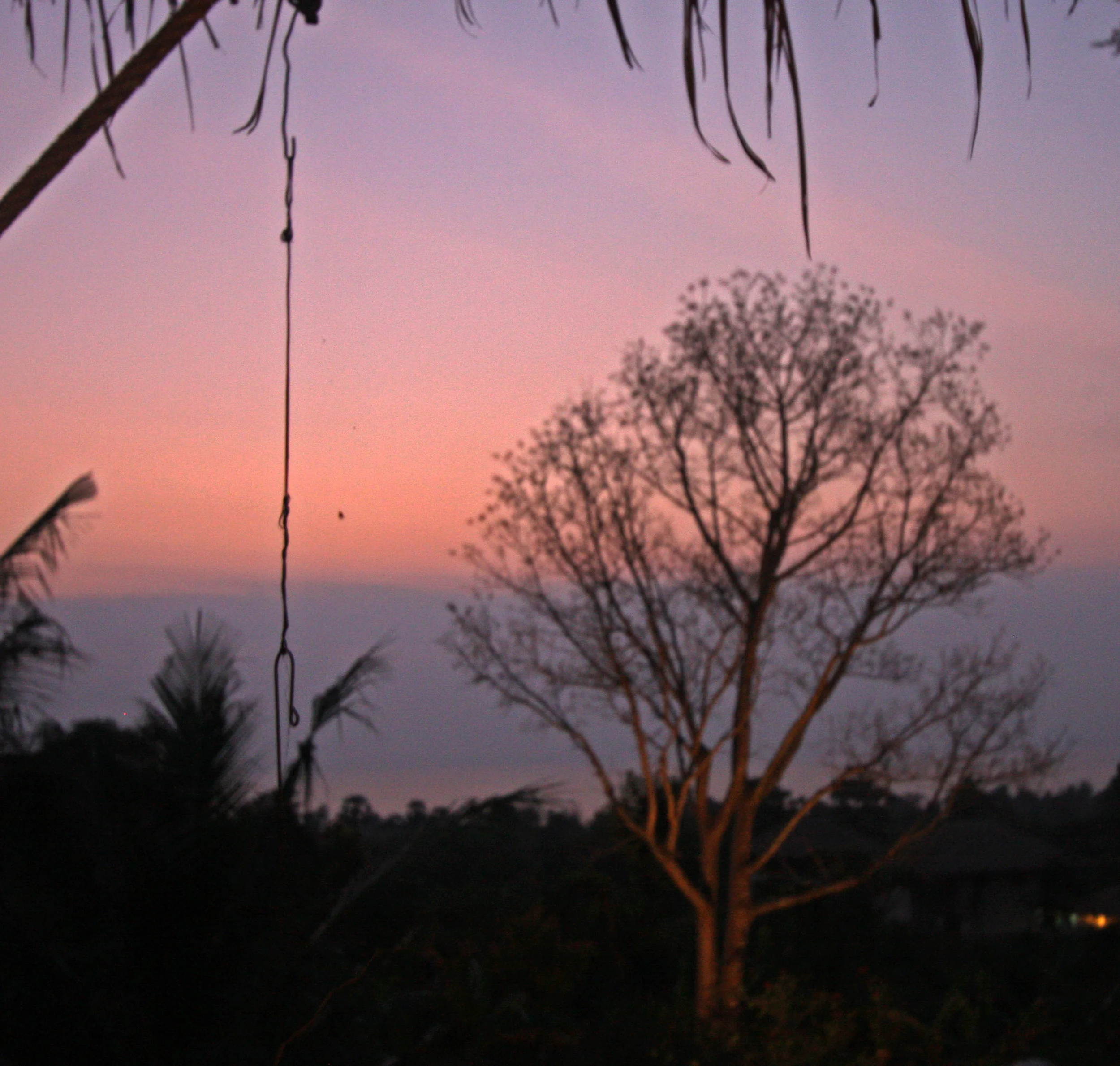 IMG_3567.JPG