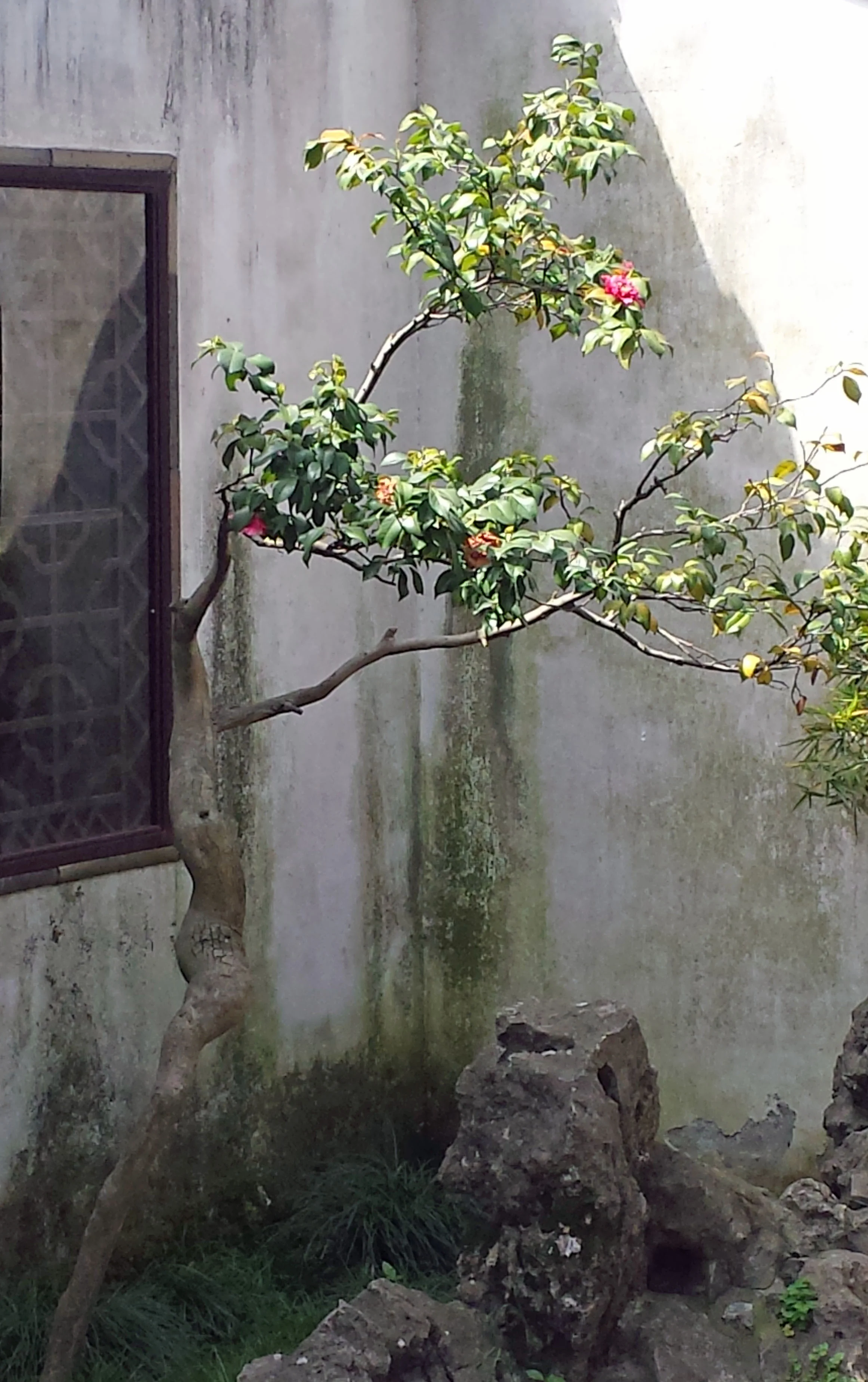 20150417_101416.jpg