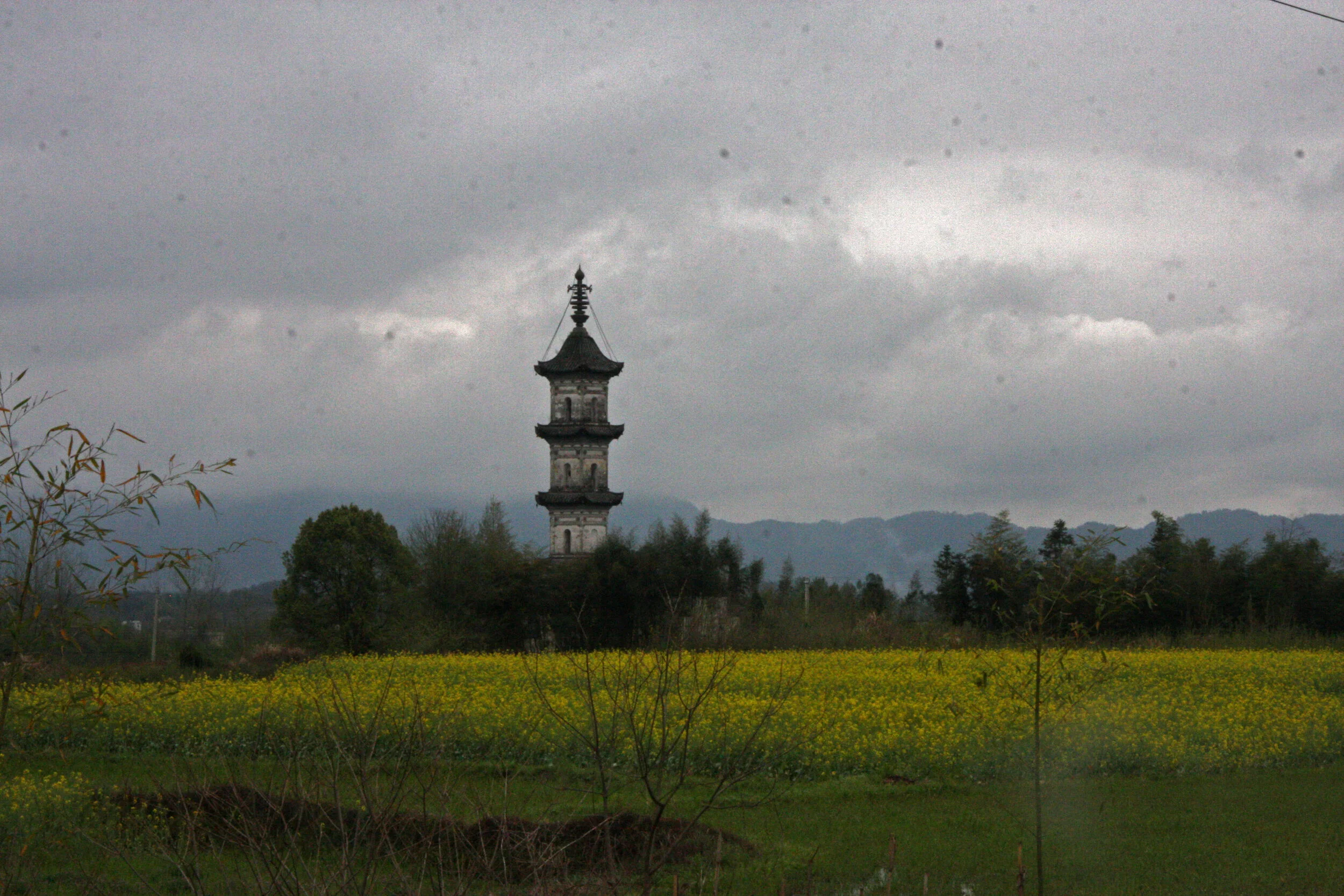 IMG_8906.jpg