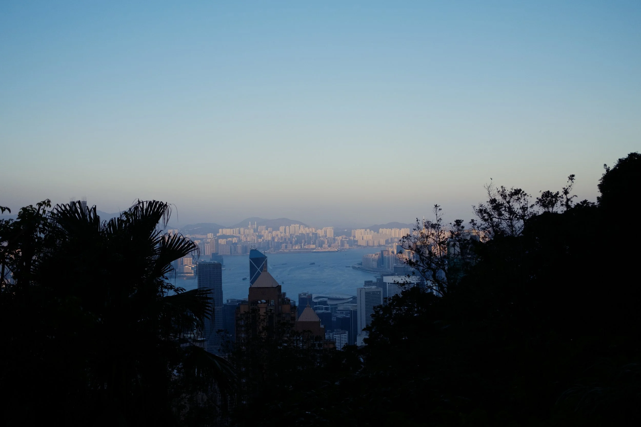 20251116-_DSF2896.jpg