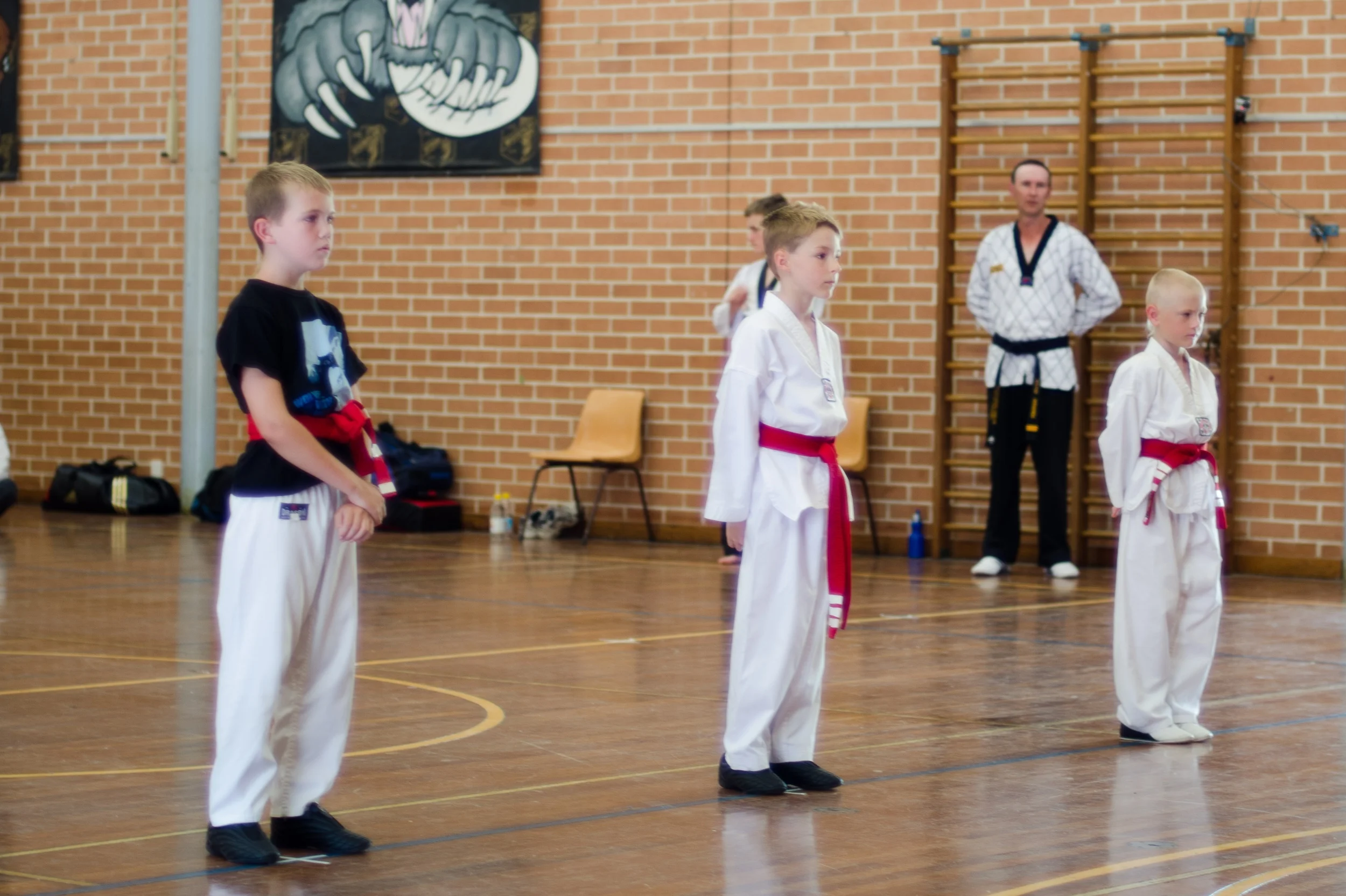 Taekwondo Grading