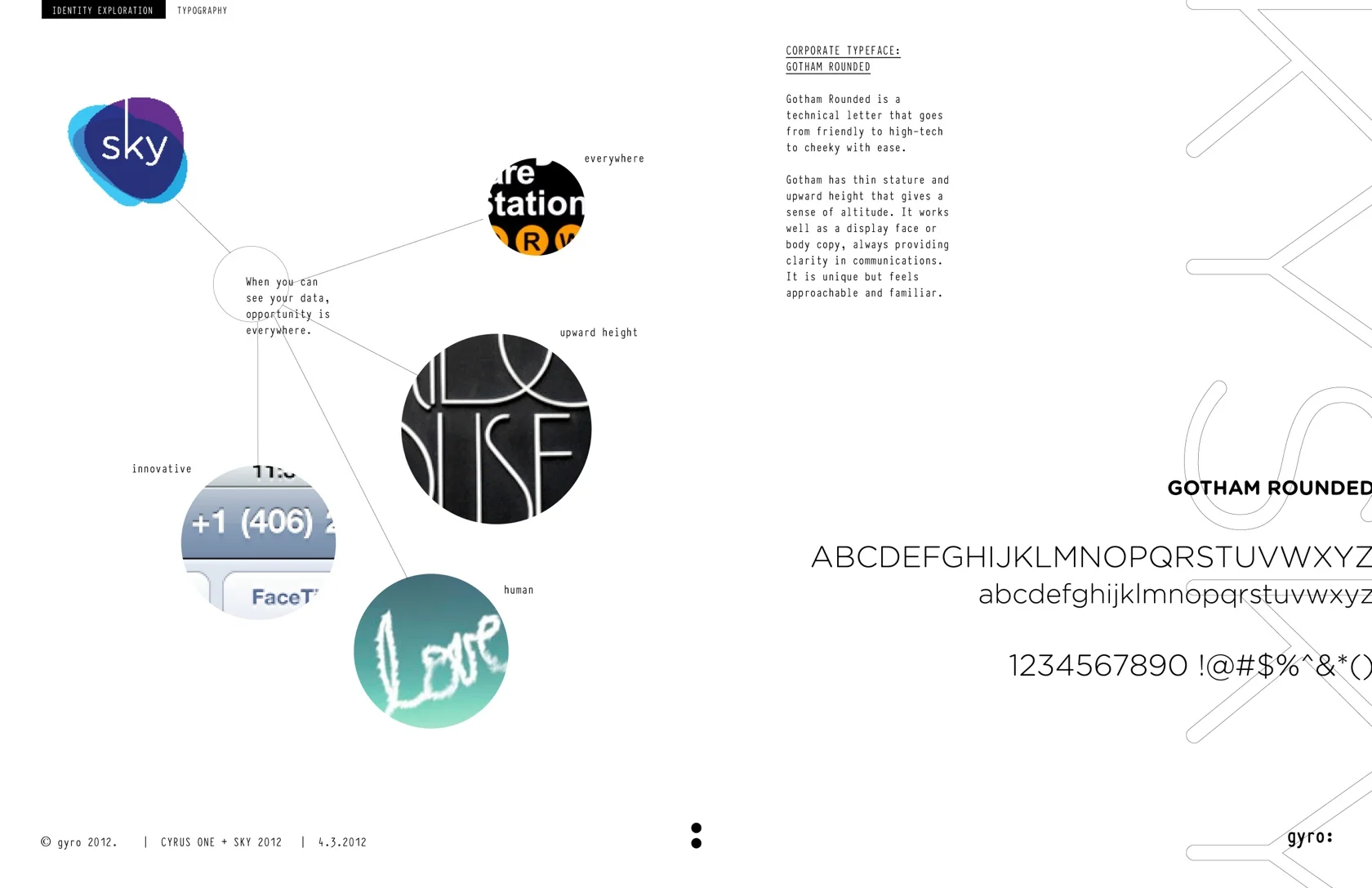 gyro_identity_process4-1.jpg