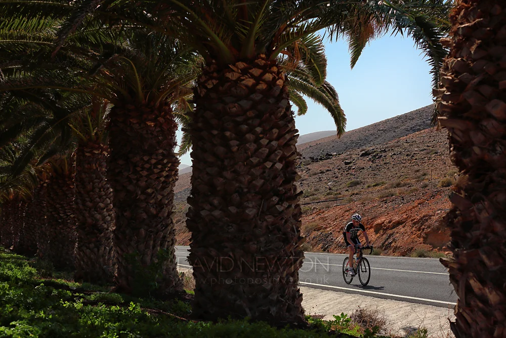 Bike_Road_Fuerte_4.jpg