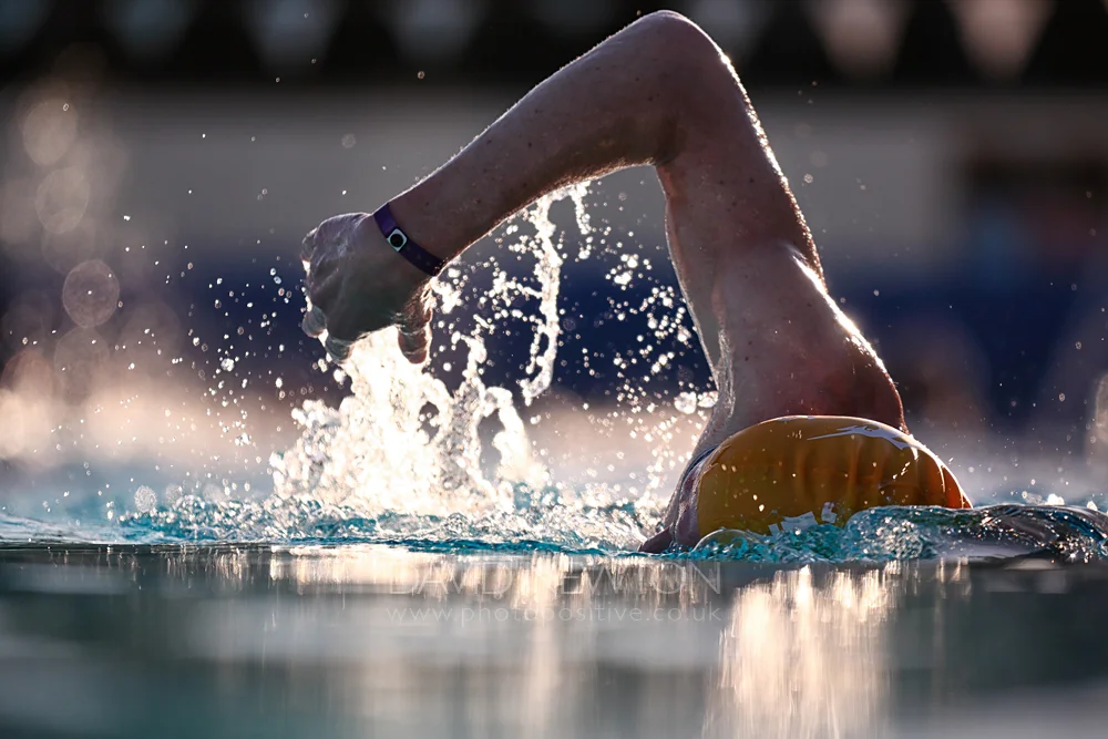 Swim_Pool_Fuerte.jpg