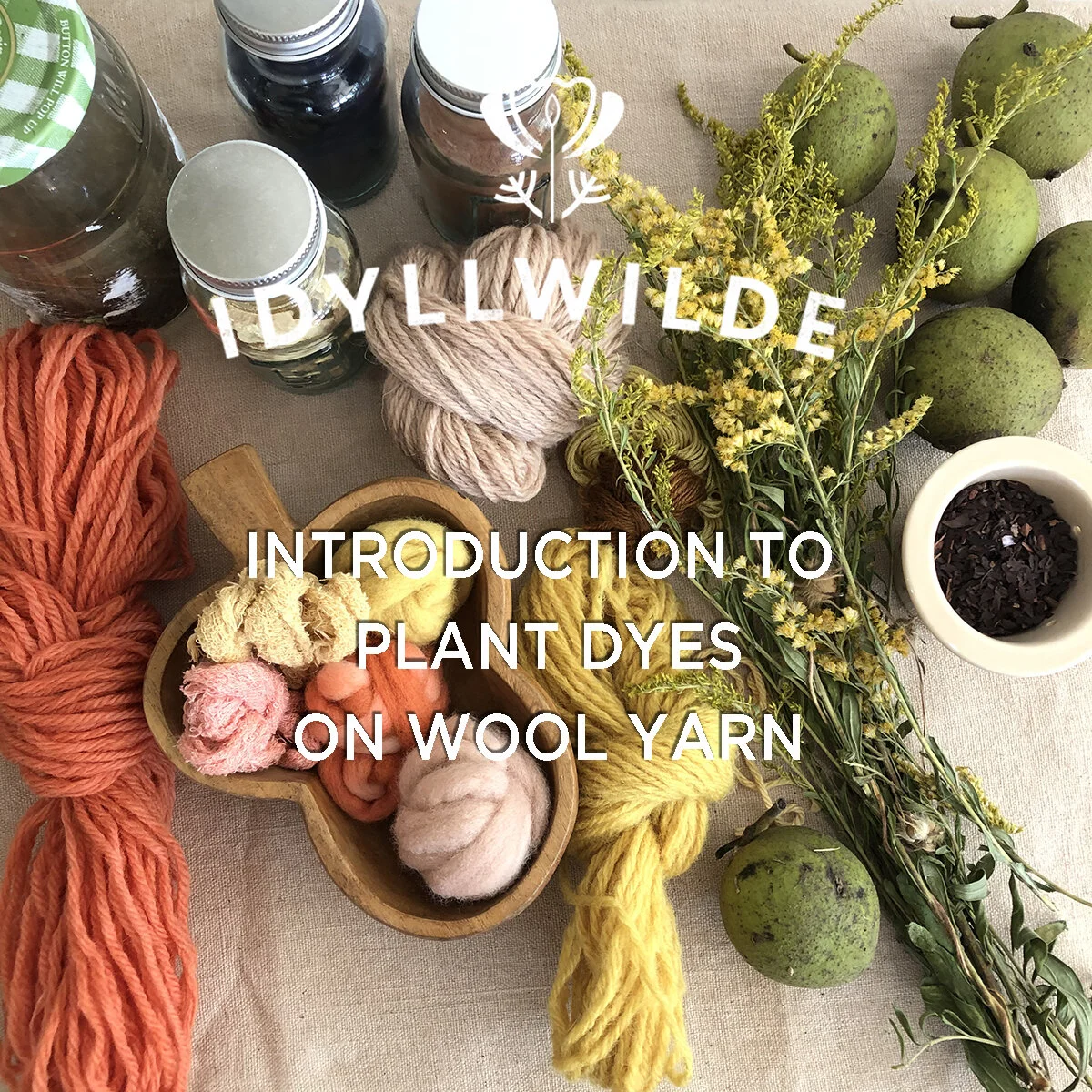 v2Plant dyes on wool-WebWorkshop.jpg