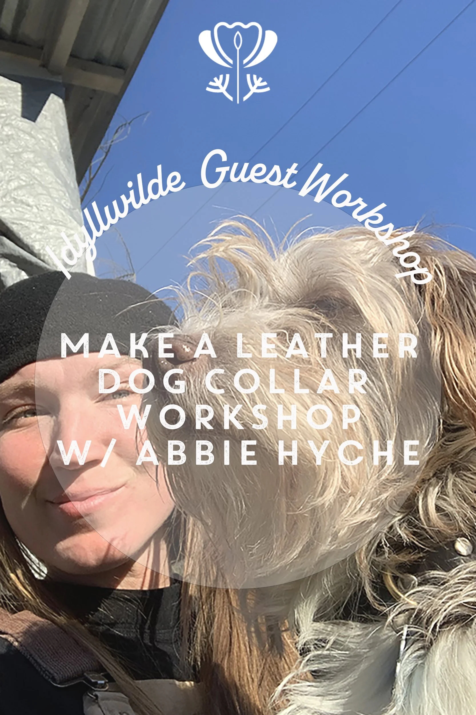 4:3 Dog collarWebsite Imagewithtext circle copy.jpg