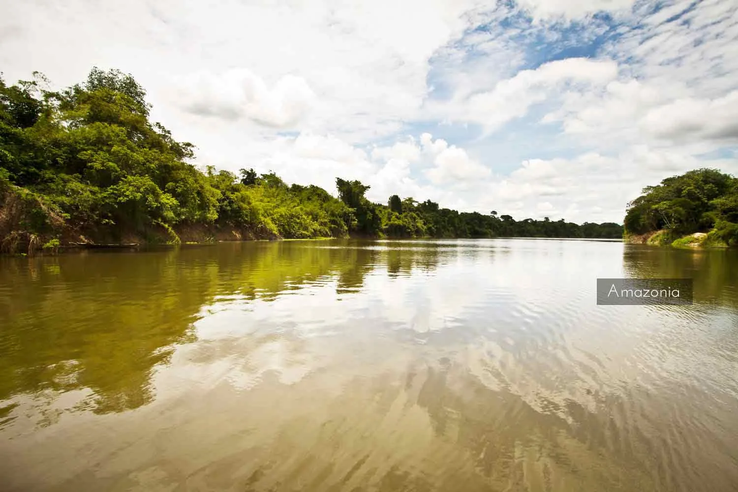 amazonia1.jpg