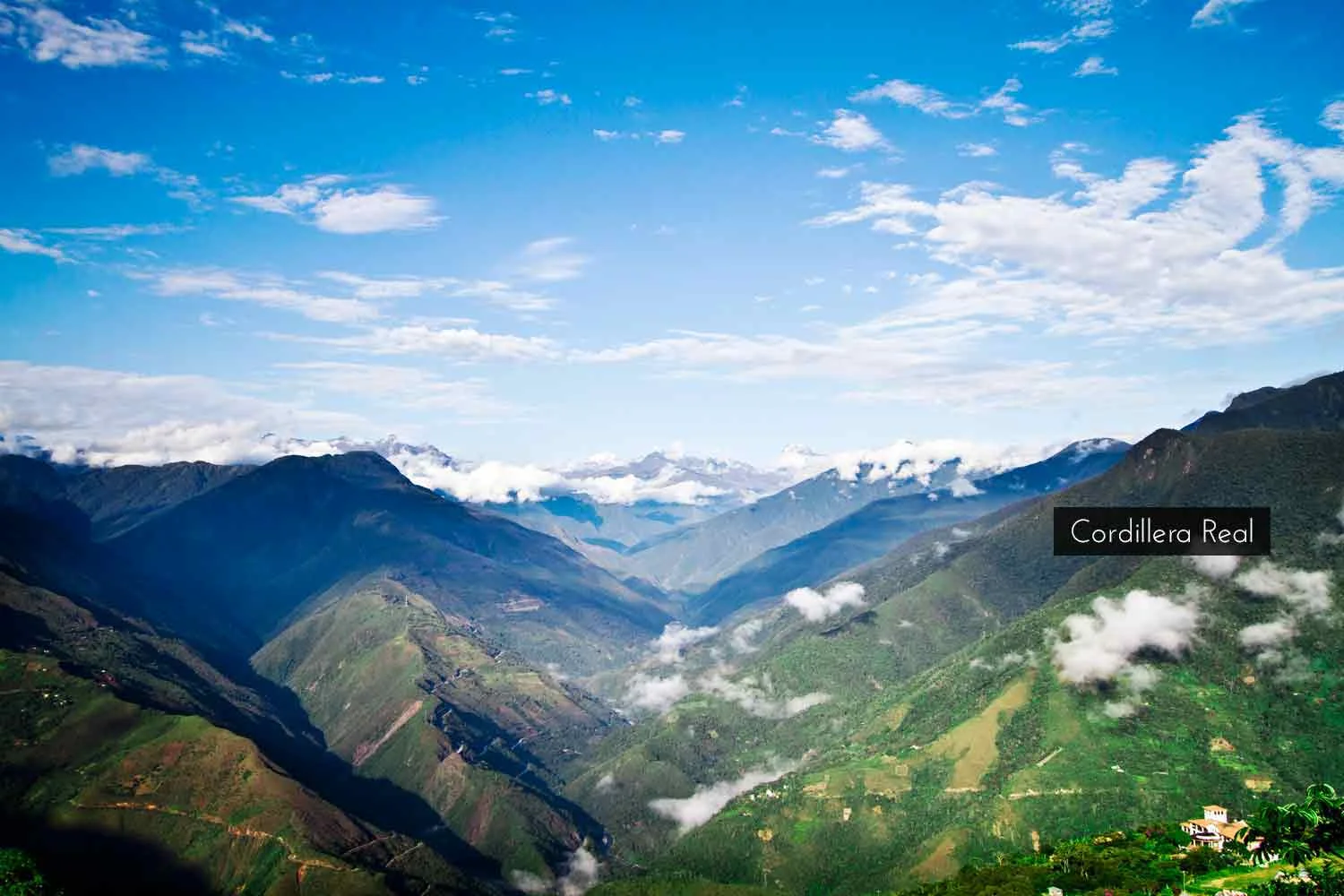 cordillera-real.jpg