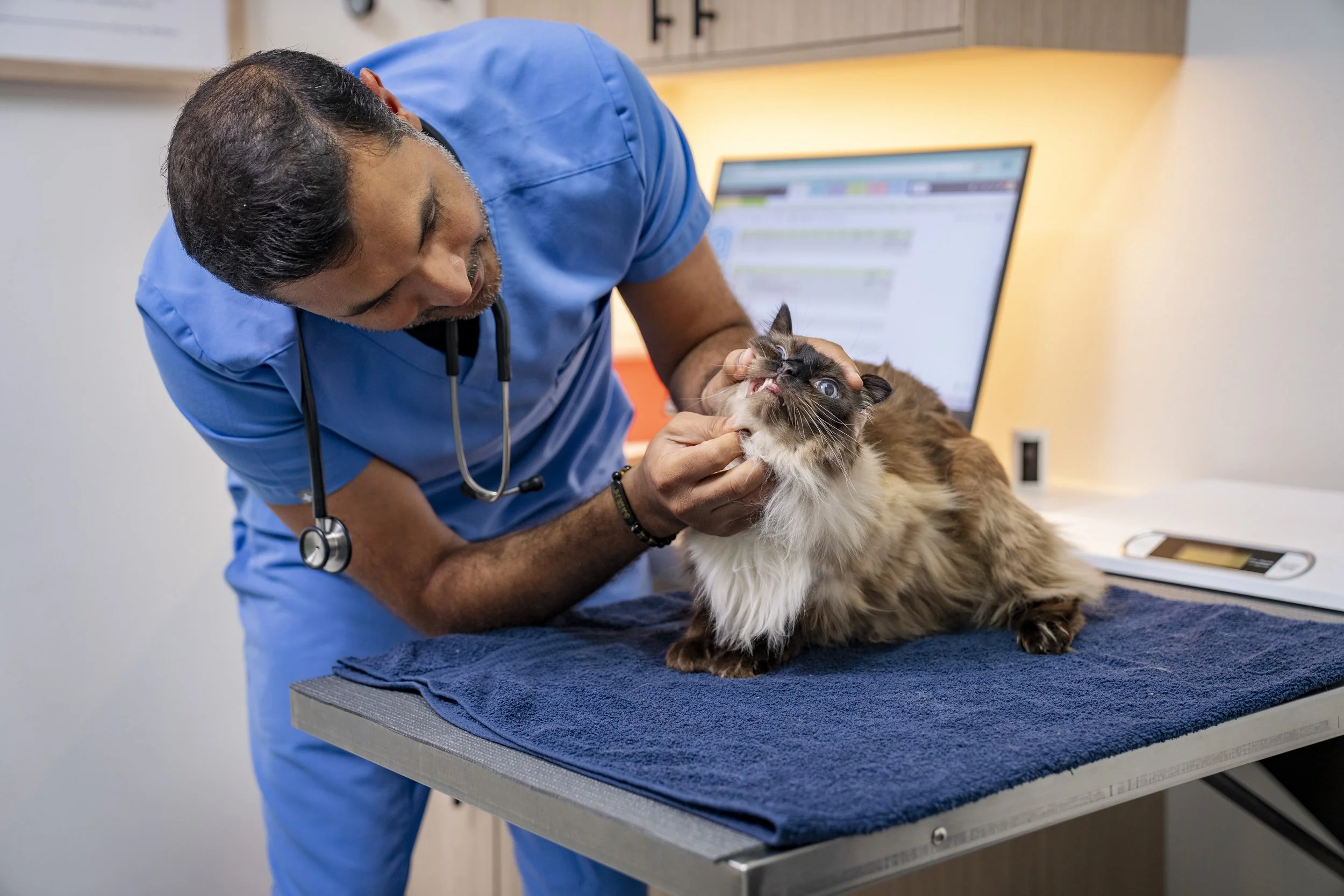 Pacific Paws January 2026-203391.jpg