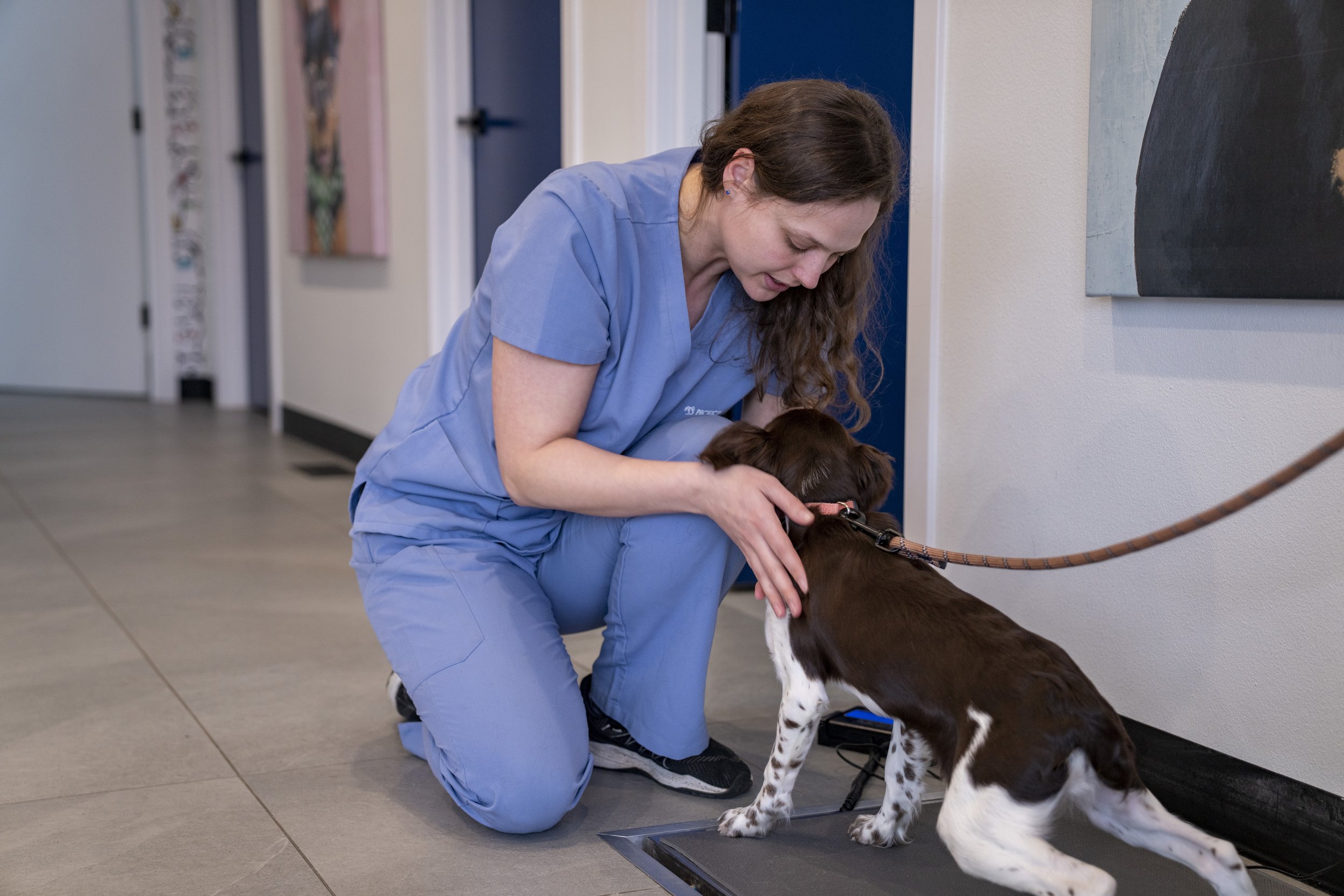 Pacific Paws January 2026-203773.jpg