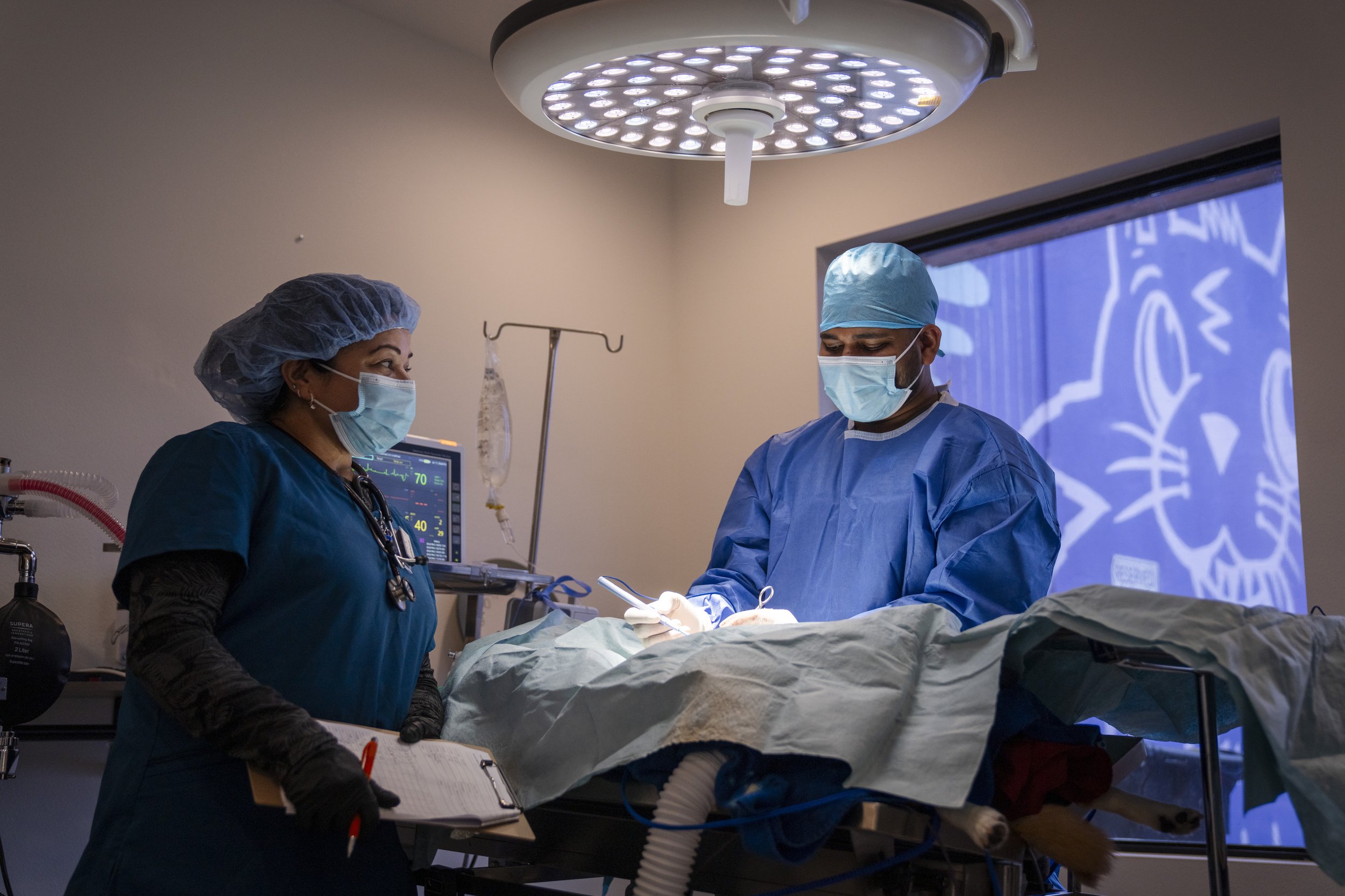 Pacific Paws January 2026-203724.jpg