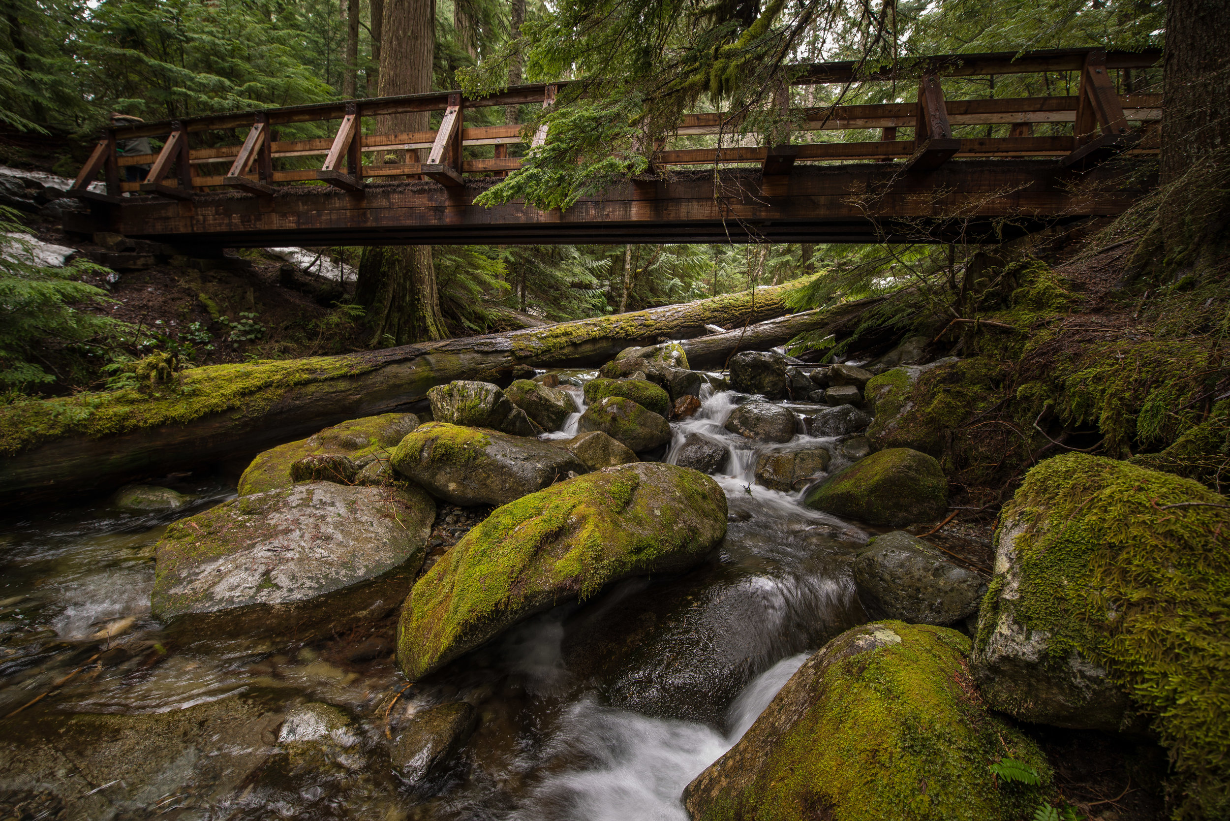 RCR_6073.jpg