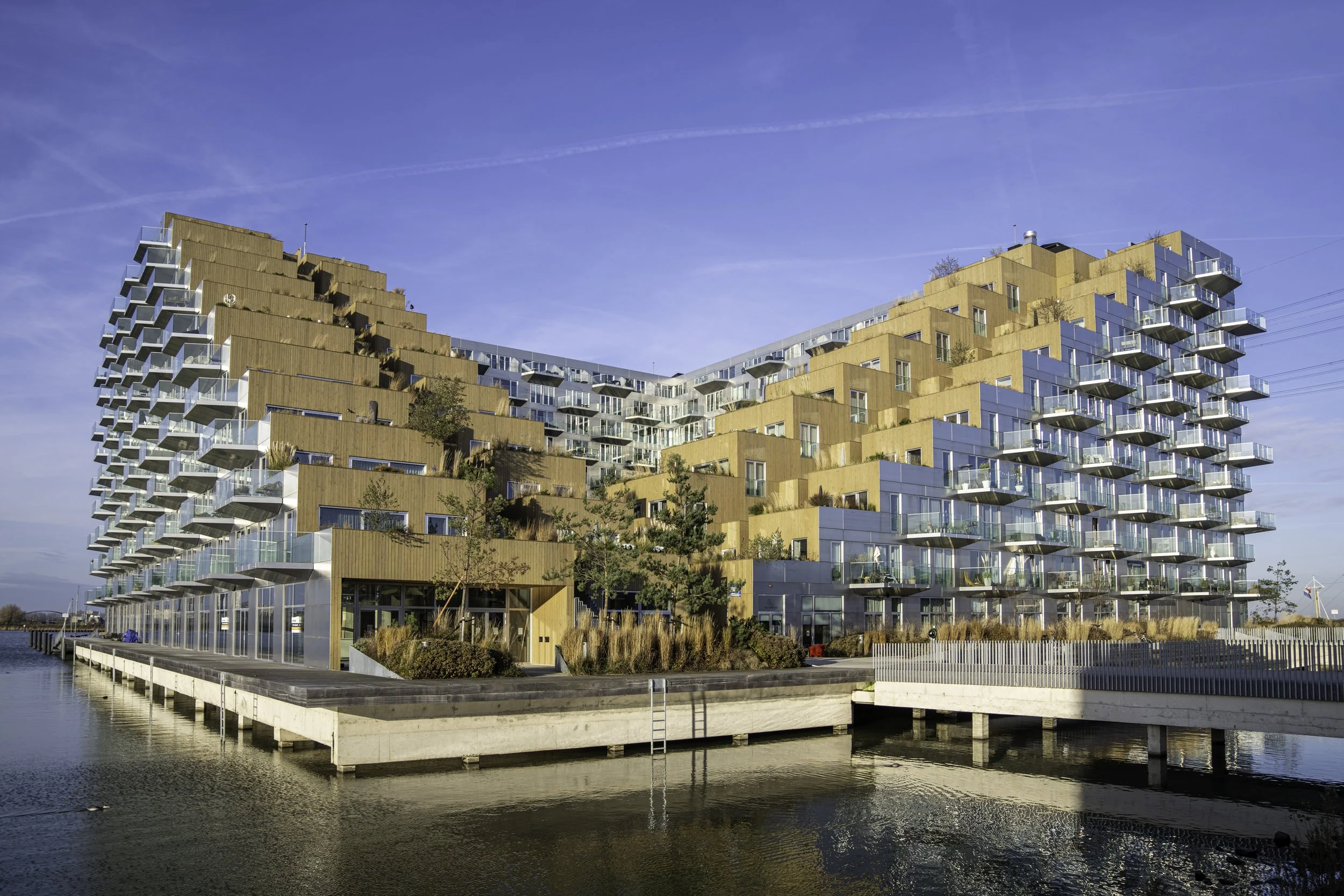 Matt and Lisanne Maternity Dec 1 2024-202799.JPG