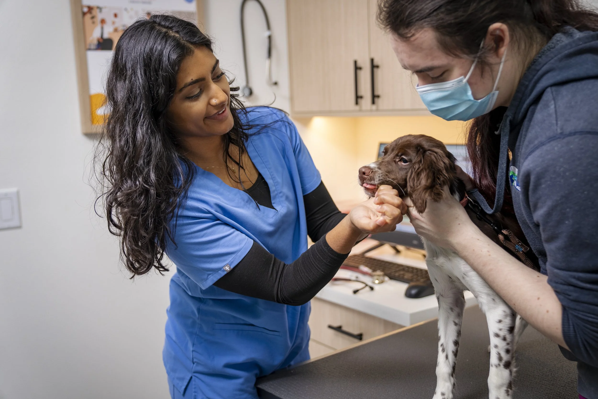 Pacific Paws January 2026-204078.jpg