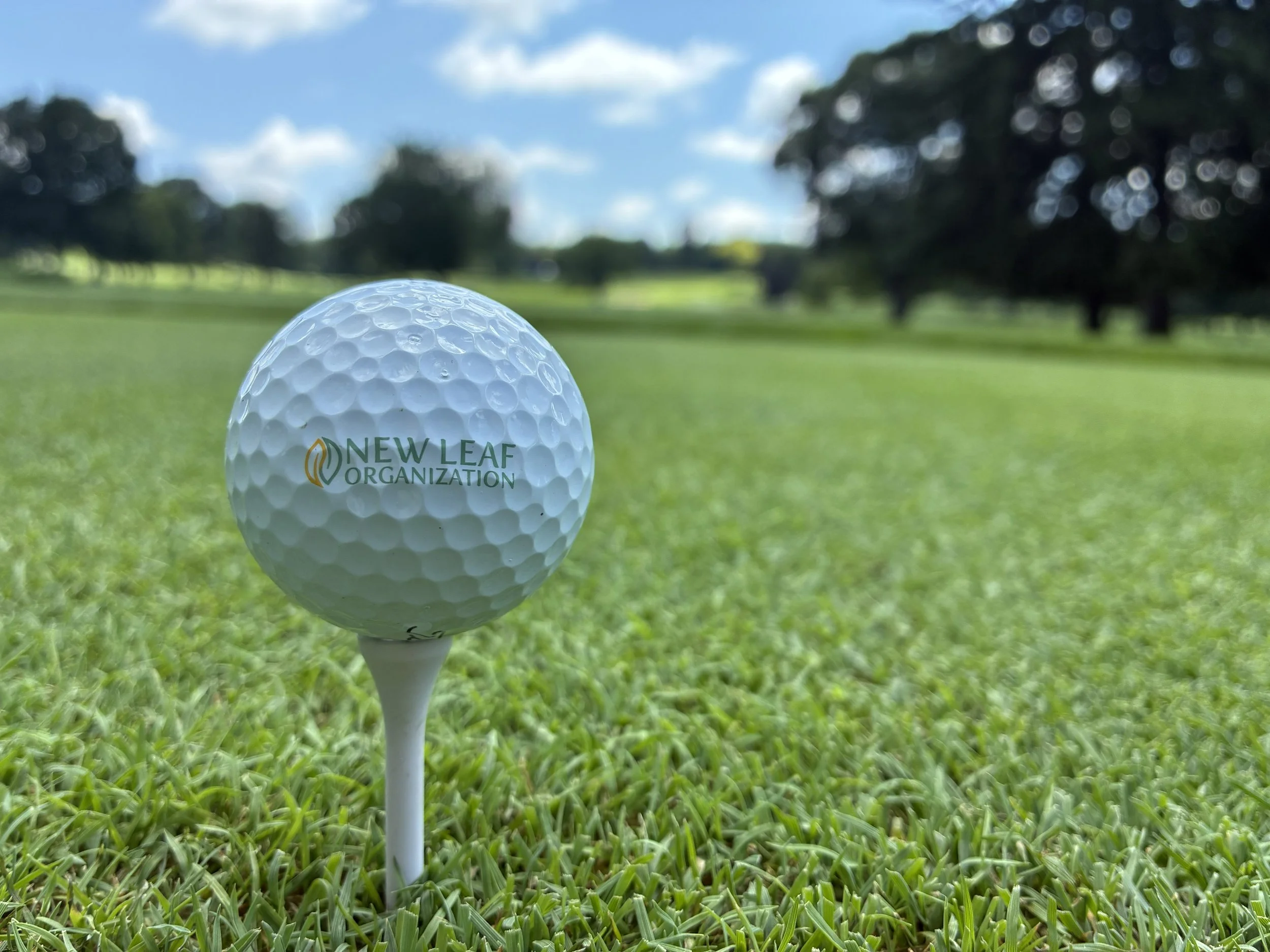 Swinging for Student Success: Golf Outings in Lima, Springfield, and Marion