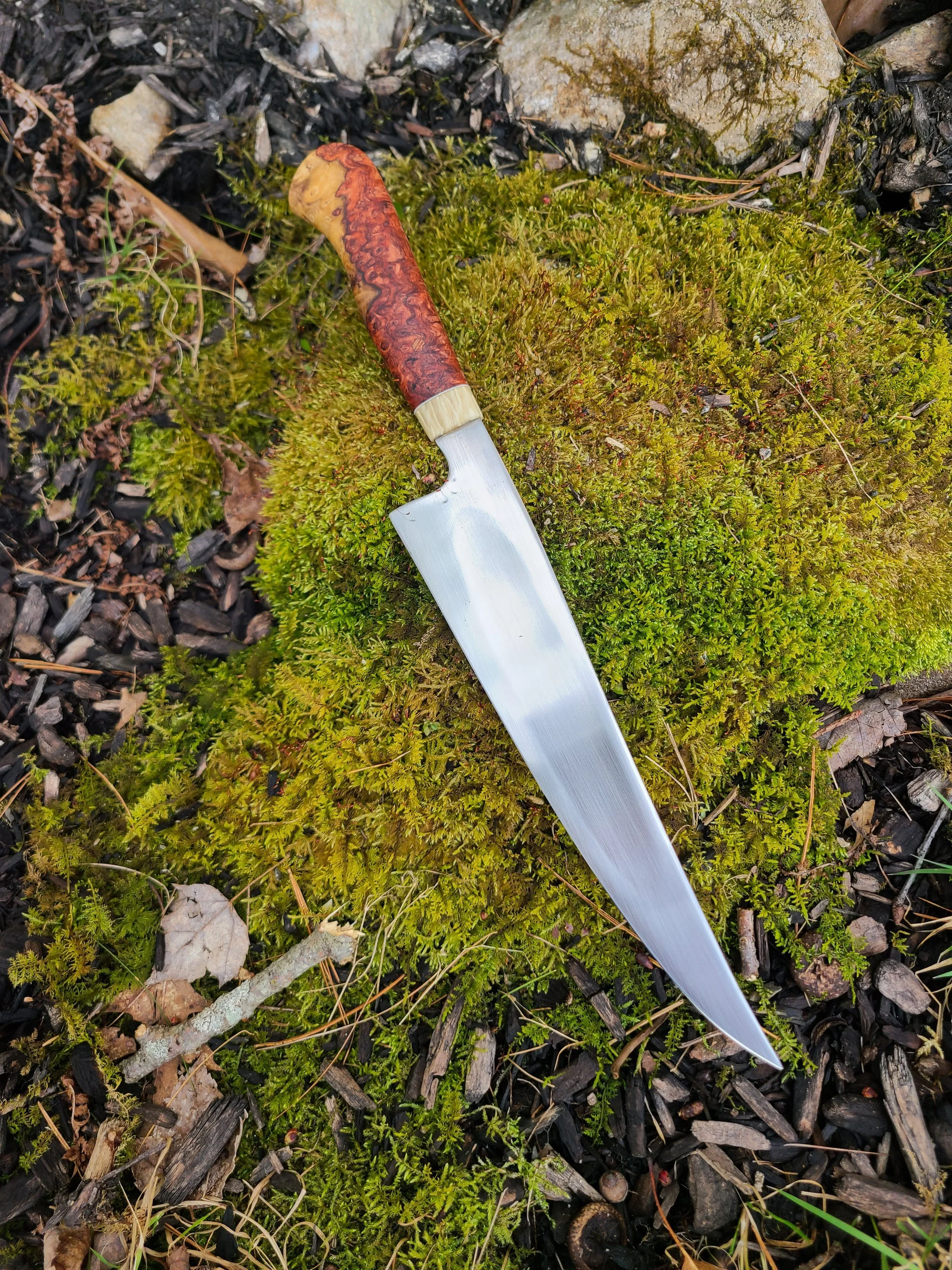WIDE RAPALA2.jpg