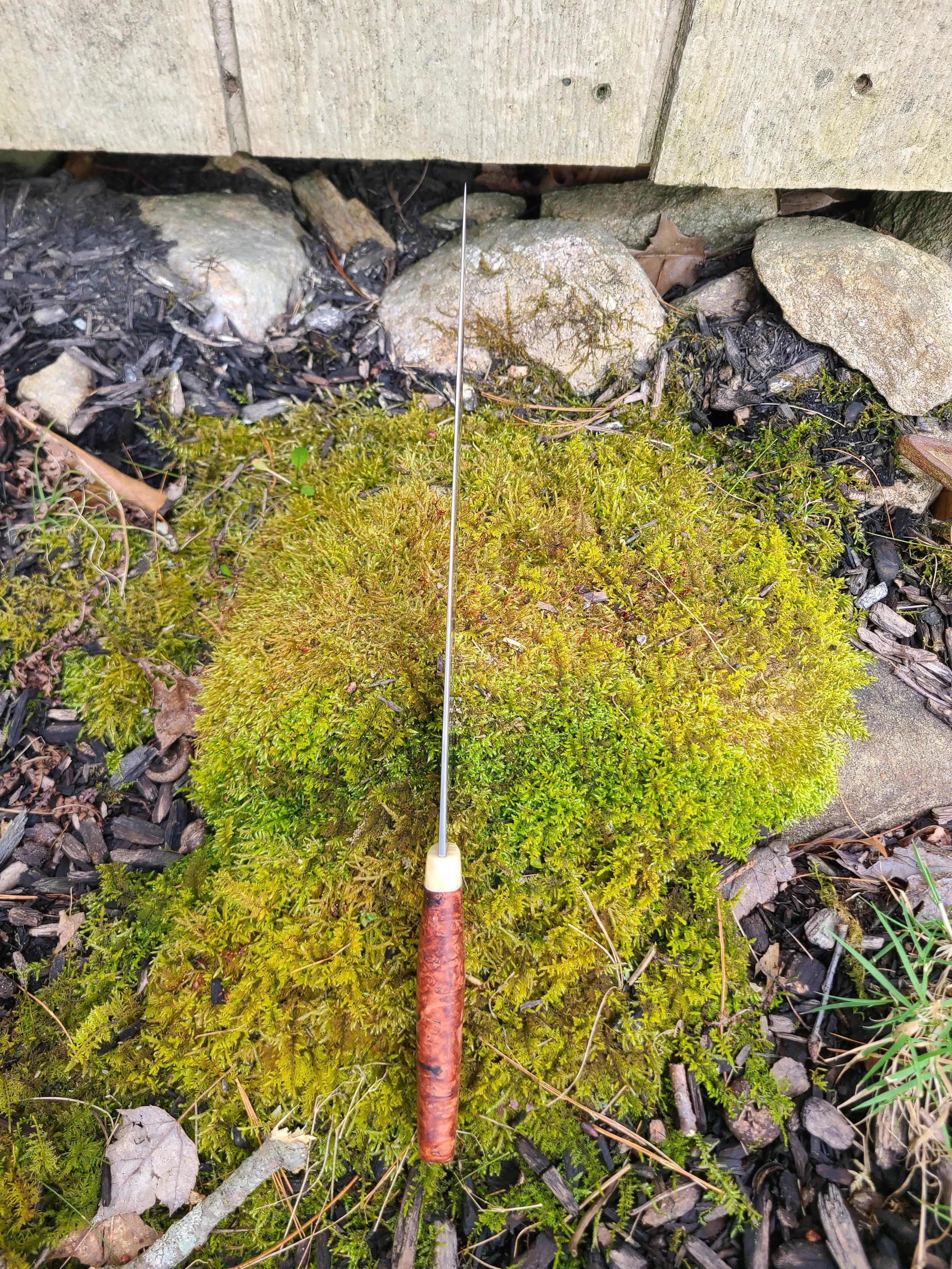 WIDE RAPALA3.jpg