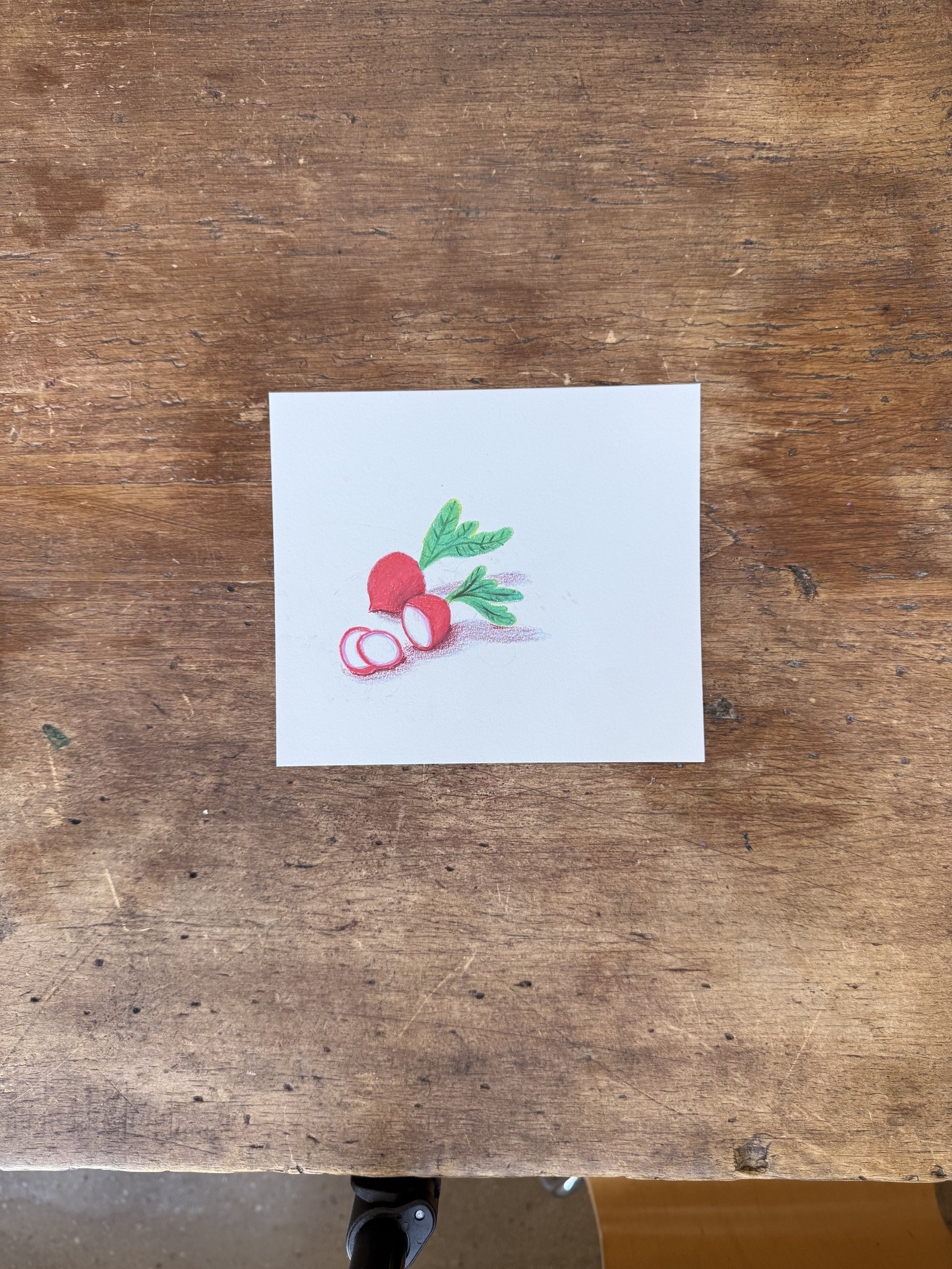 Radishes