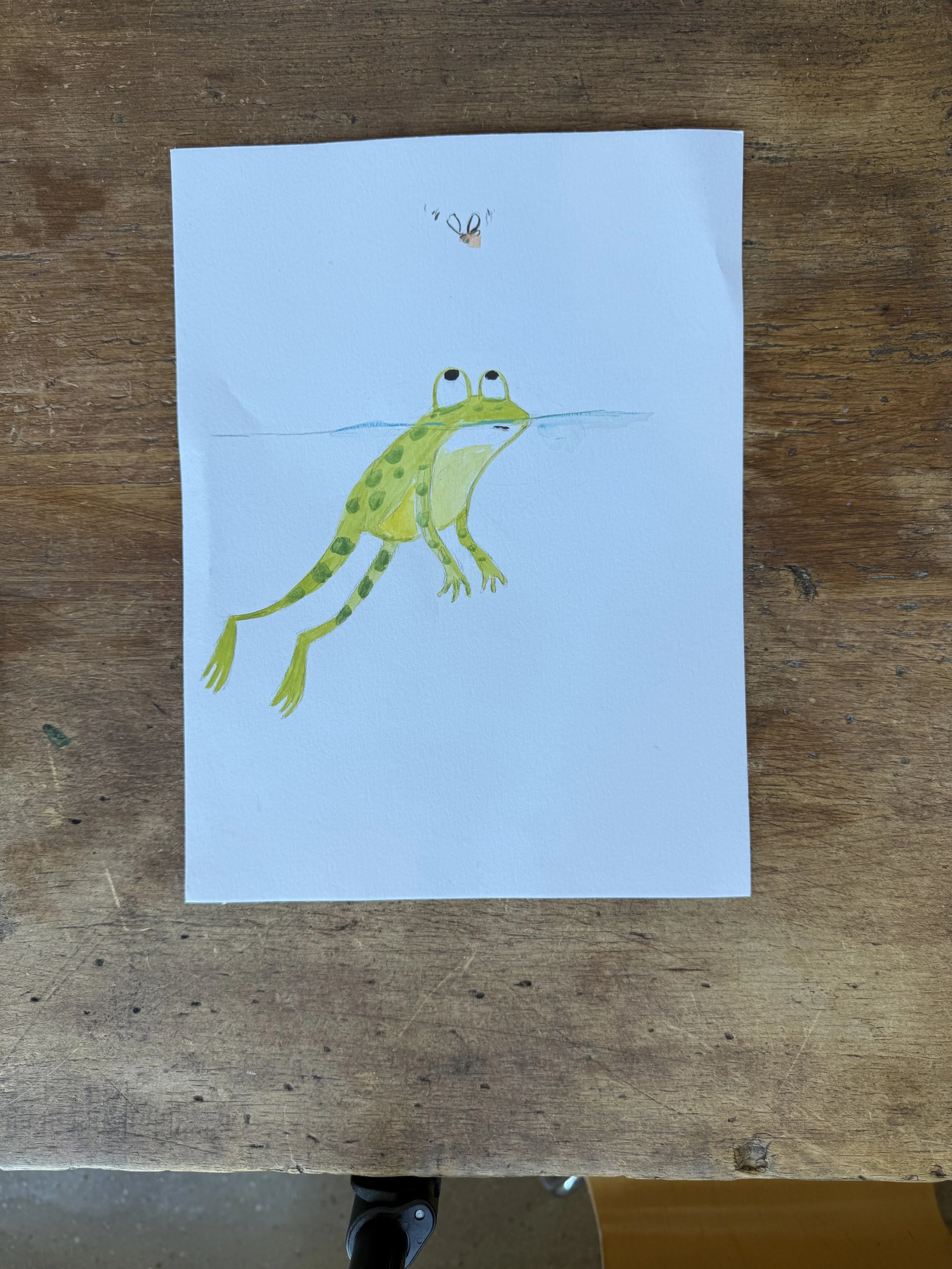 Frog and Fly