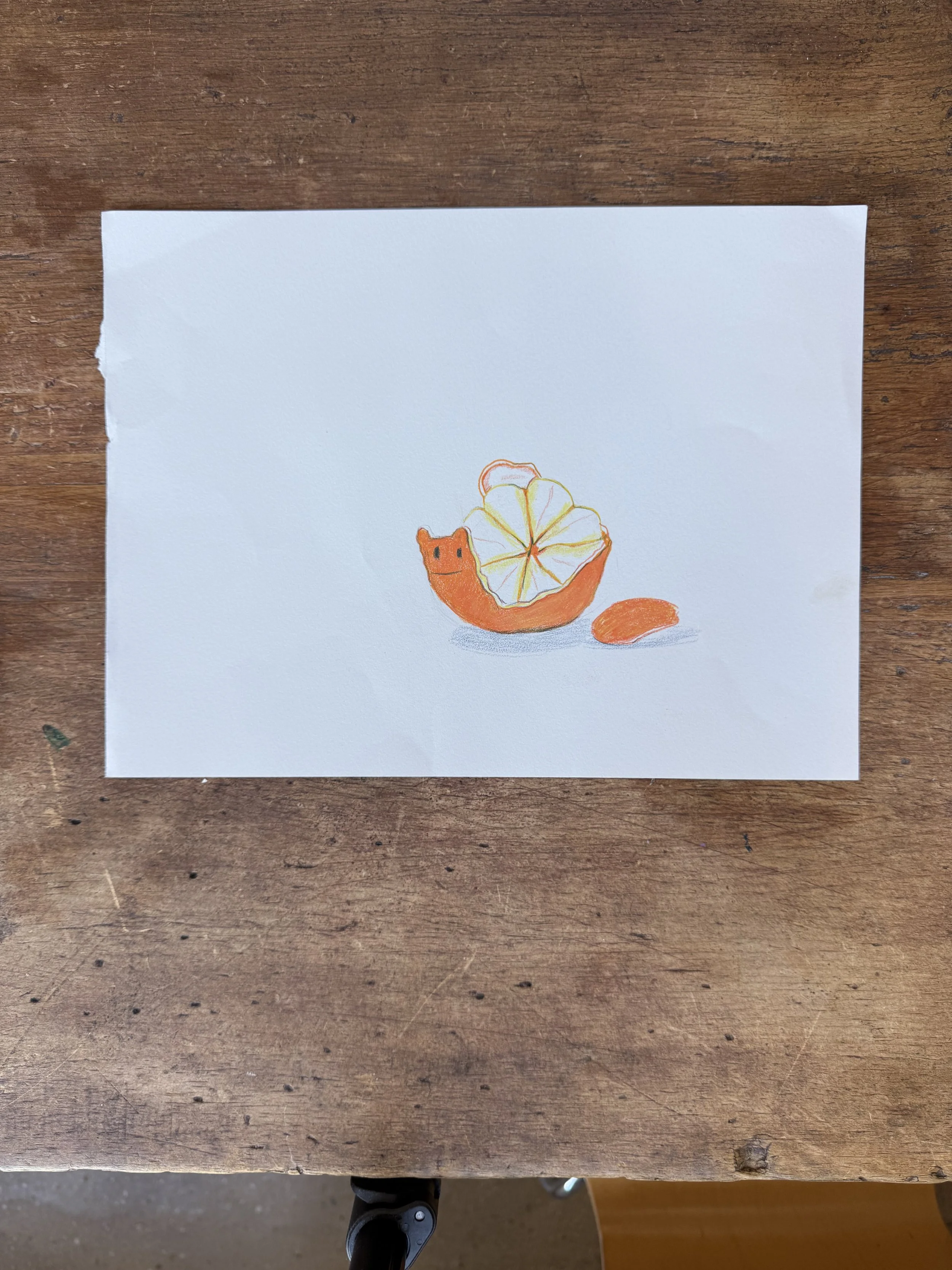 Snail Snack