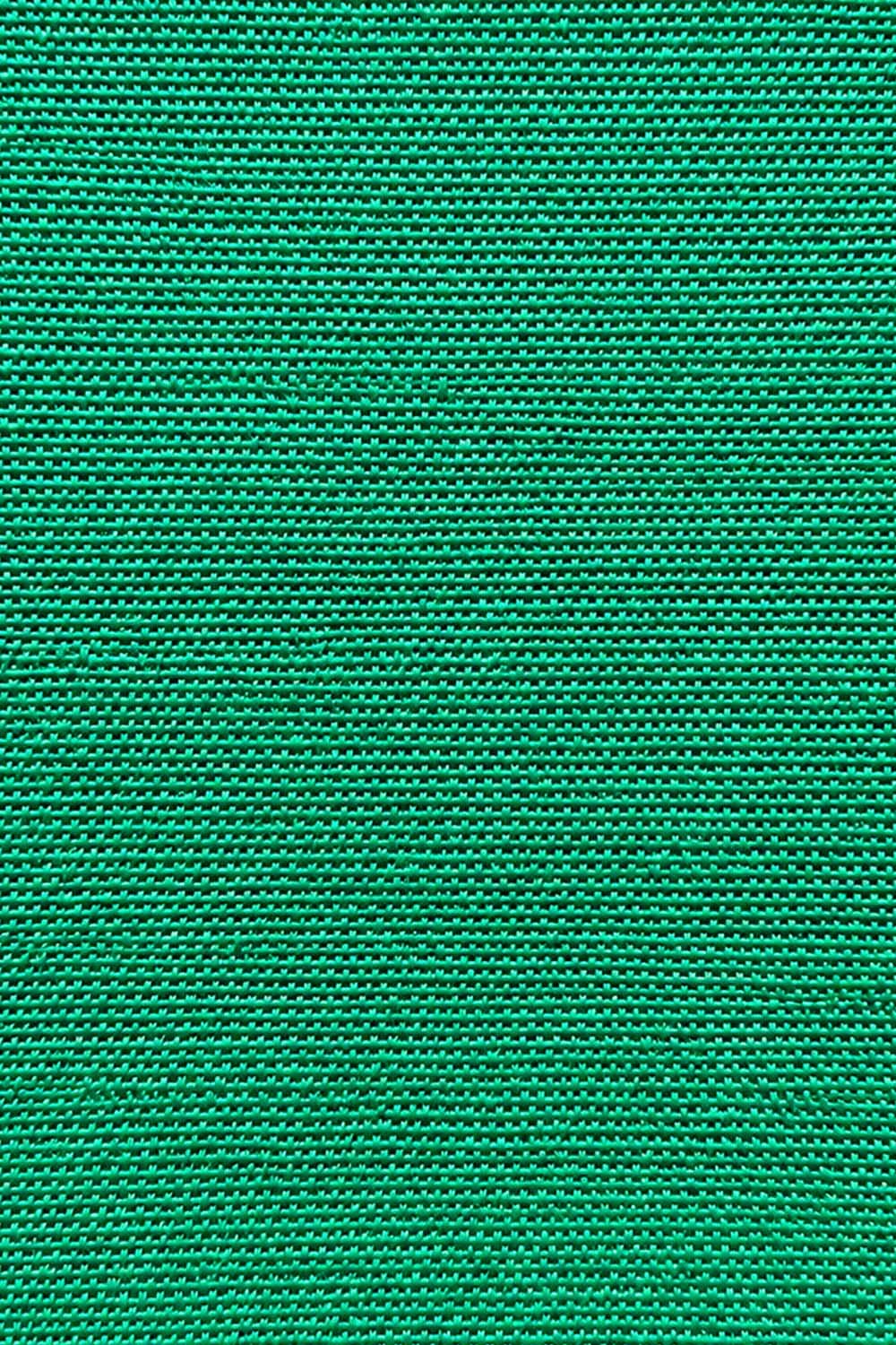 Evergreen Solid Swatch NEW.jpg
