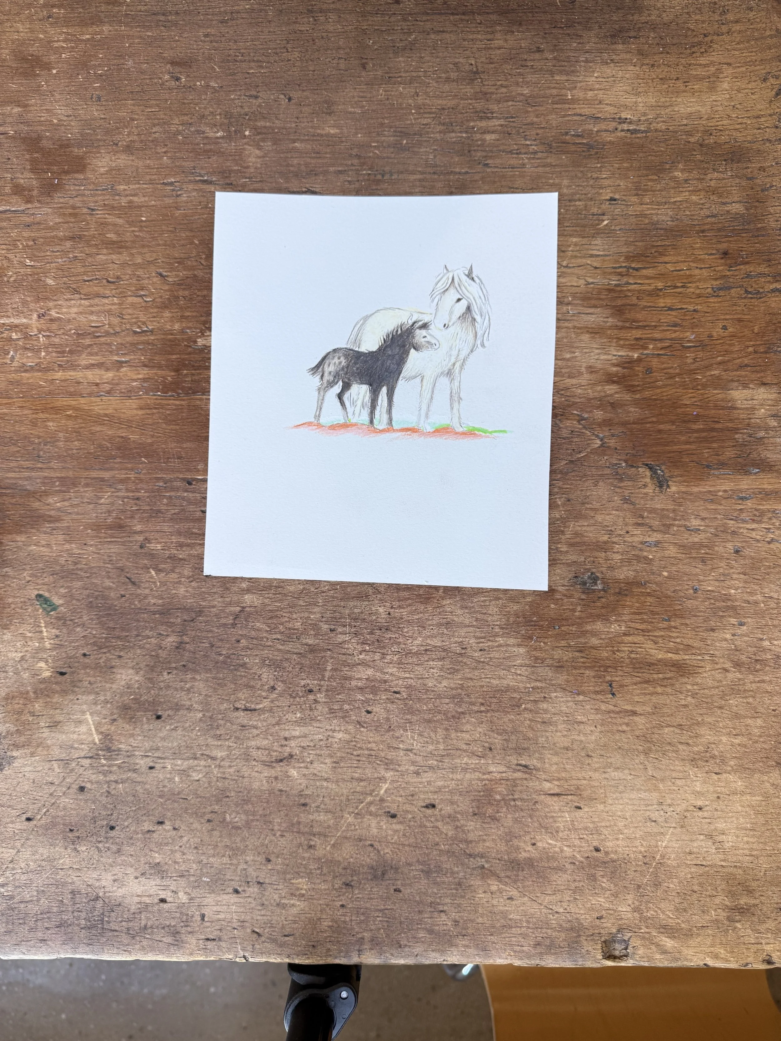 Baby Pony