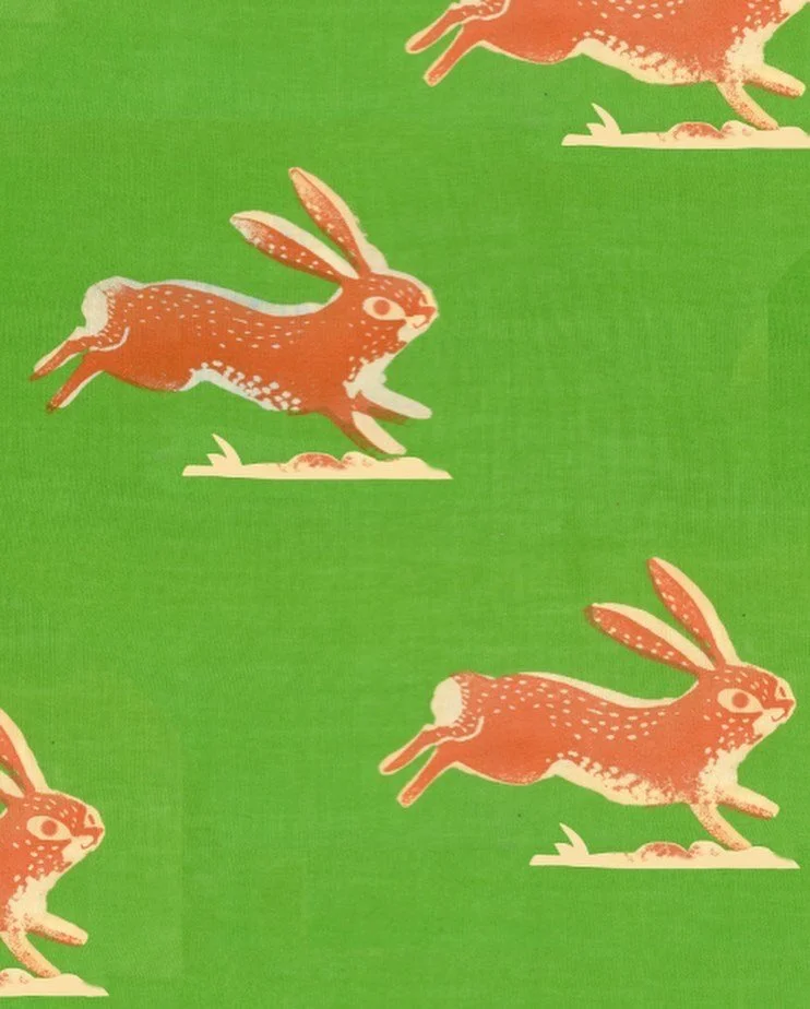 image_6483441 (6).JPG