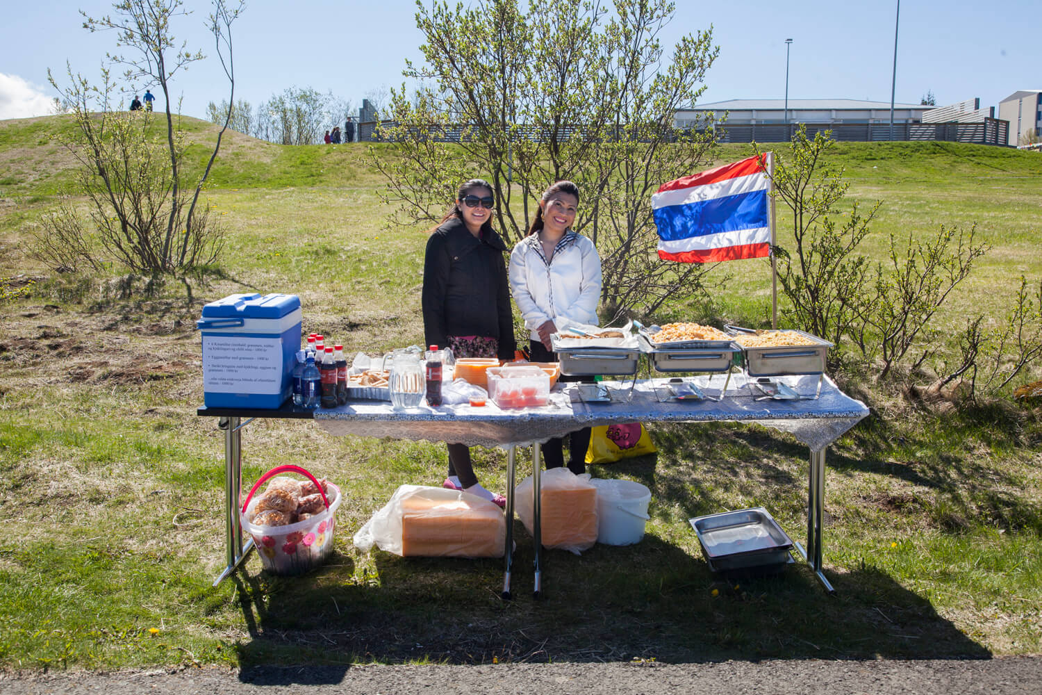 BreidholtFestival2015-034.jpg